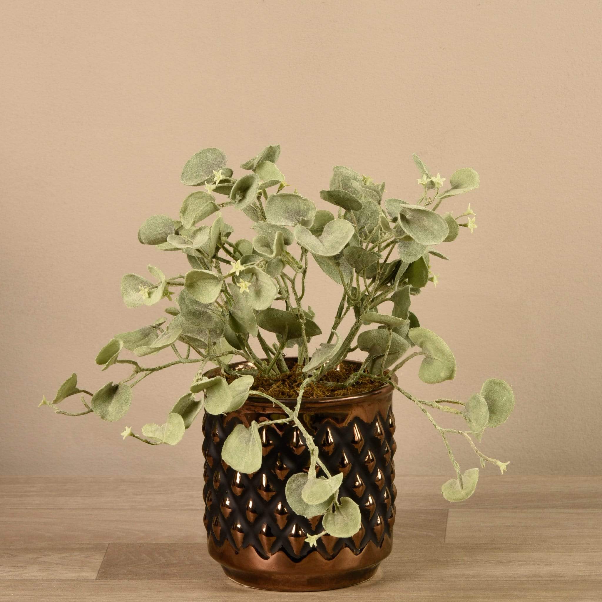 Potted Silver Fall Plant - Image 2