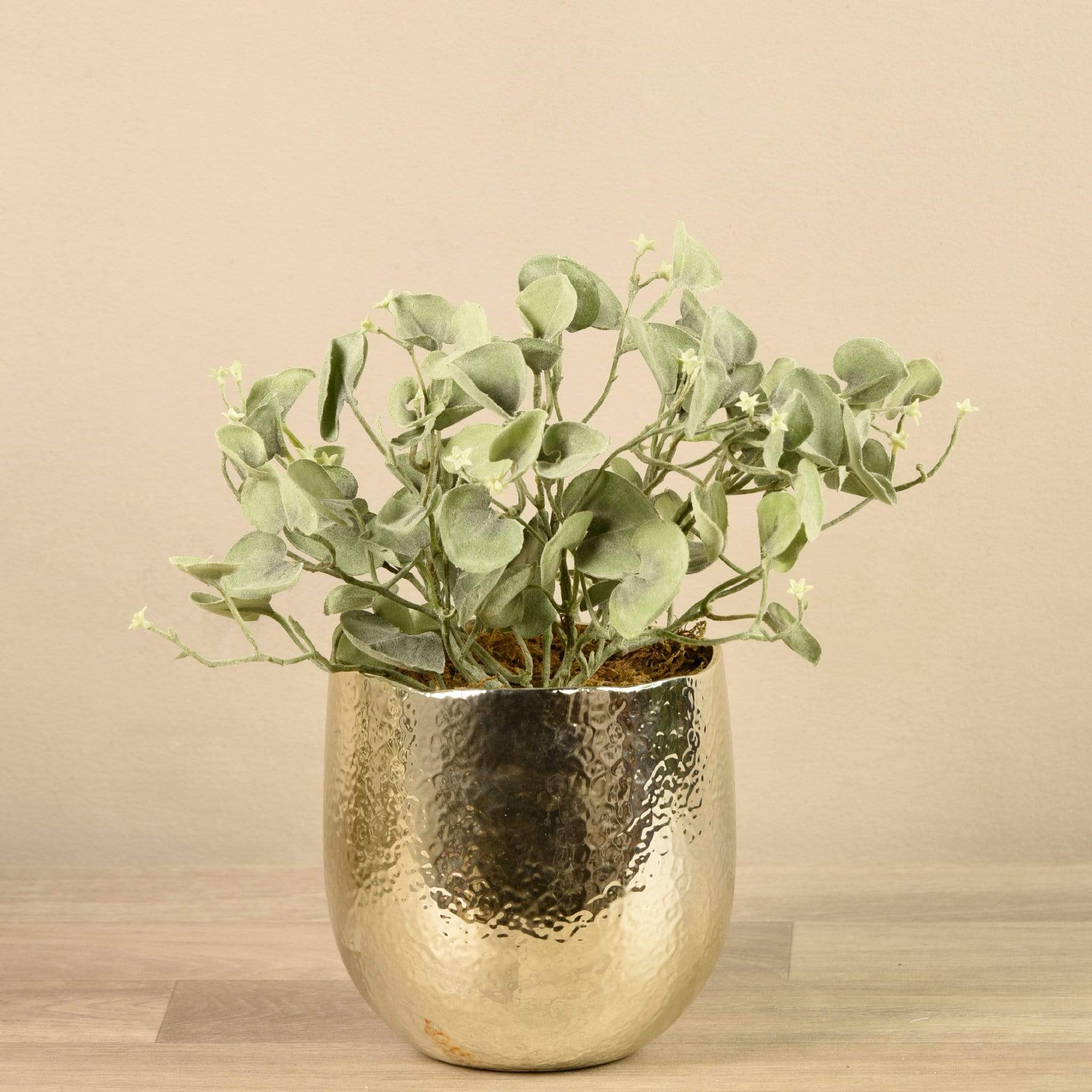 Potted Silver Fall Plant - Image 2
