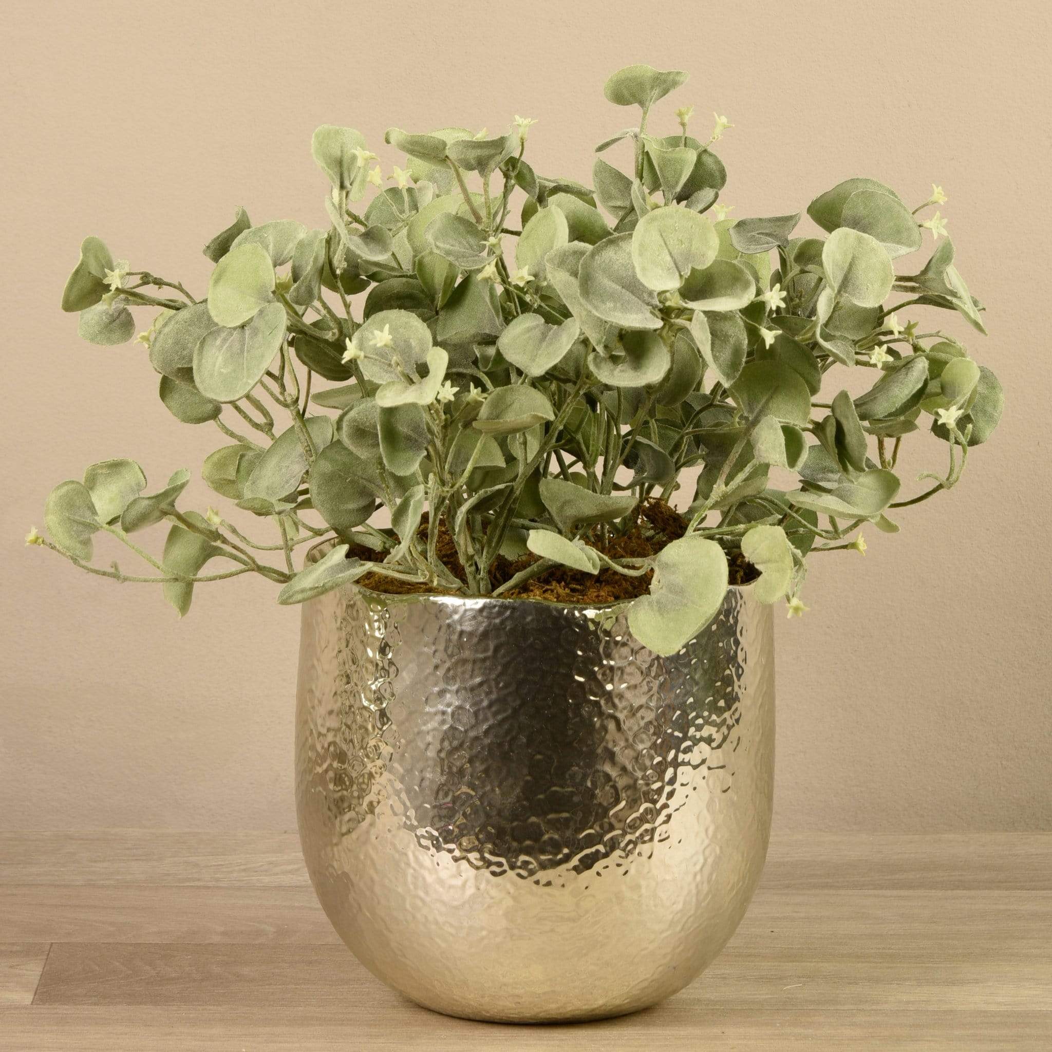 Potted Silver Fall Plant - Image 3