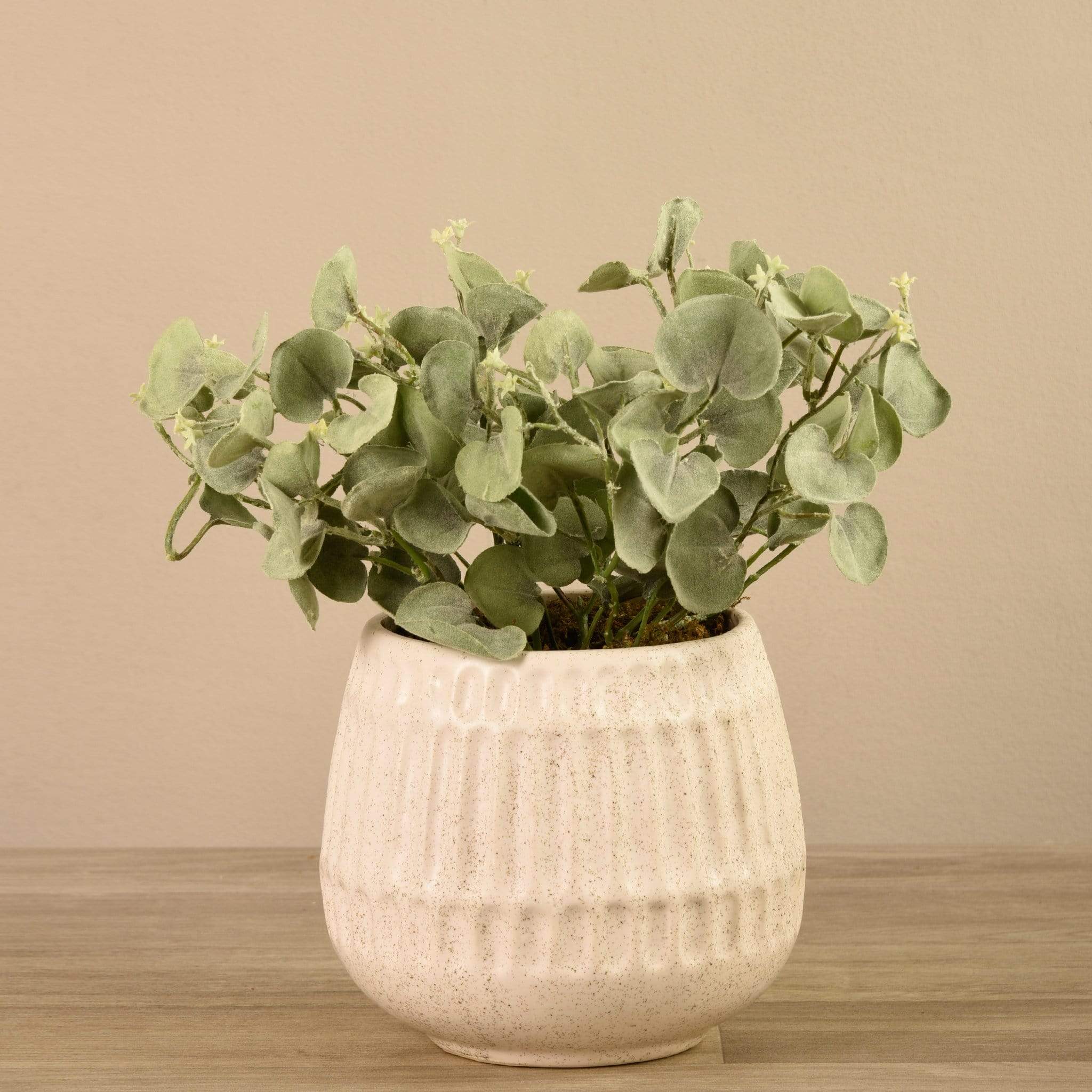 Potted Silver Fall Plant - Image 2