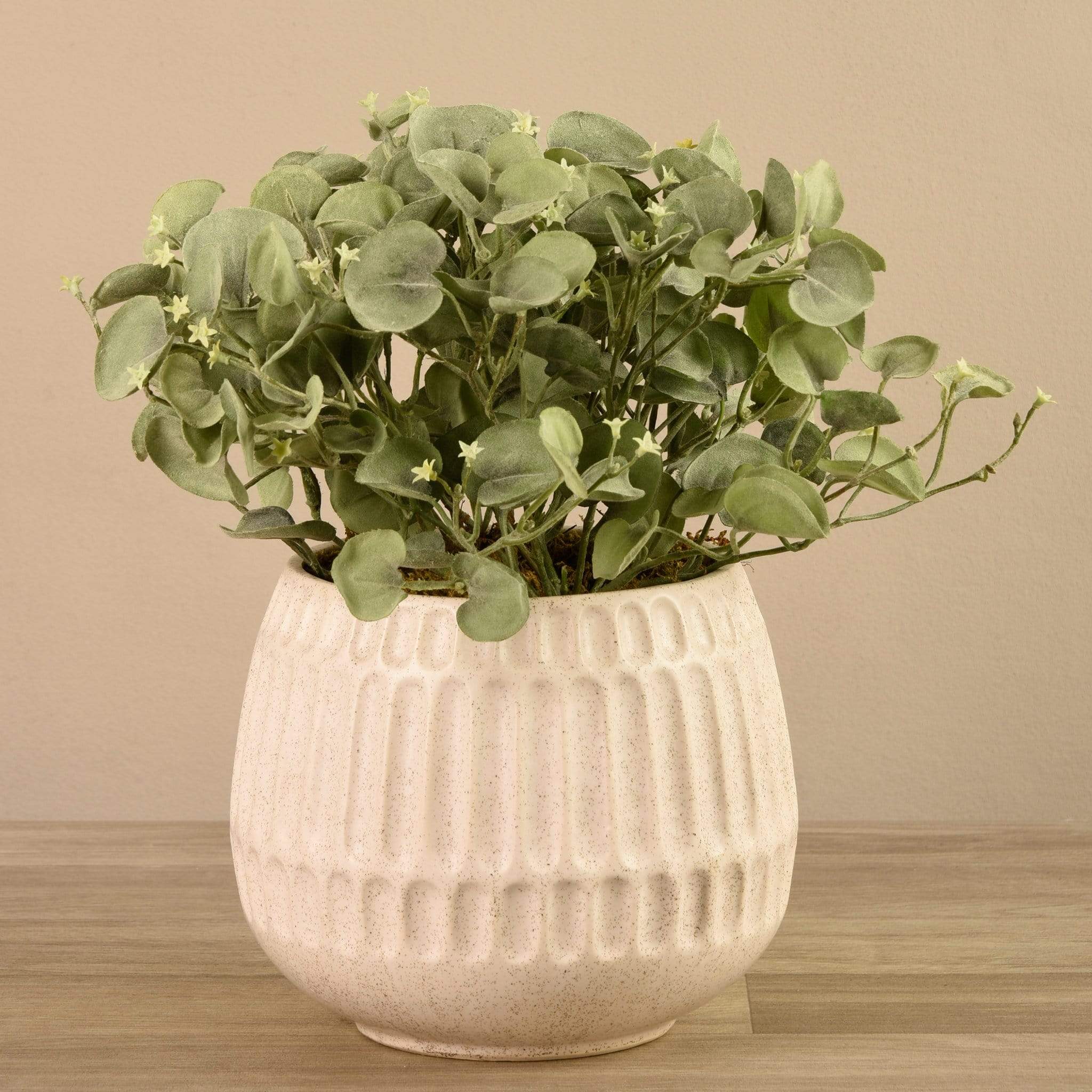 Potted Silver Fall Plant - Image 3