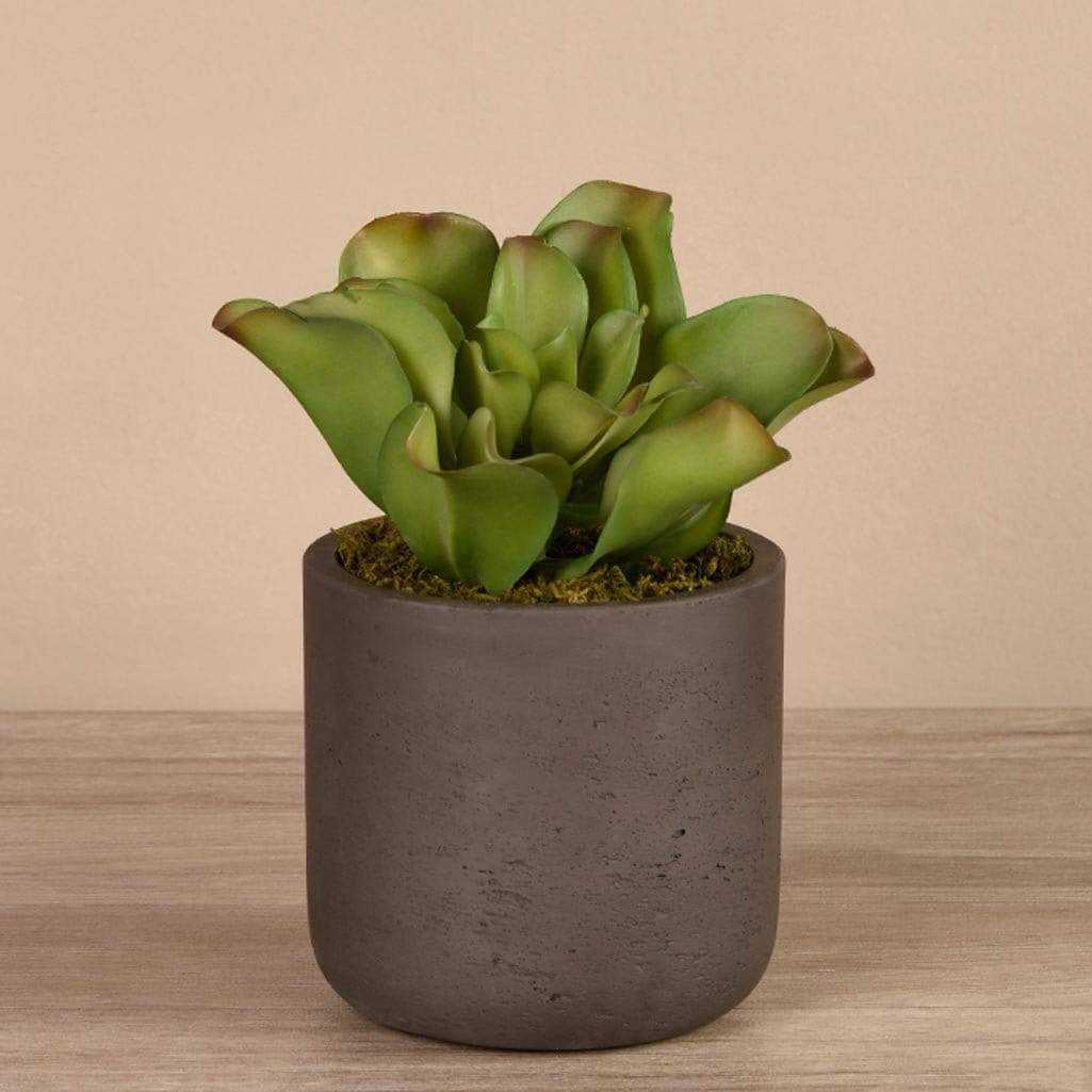 Artificial Potted Succulent - Image 3