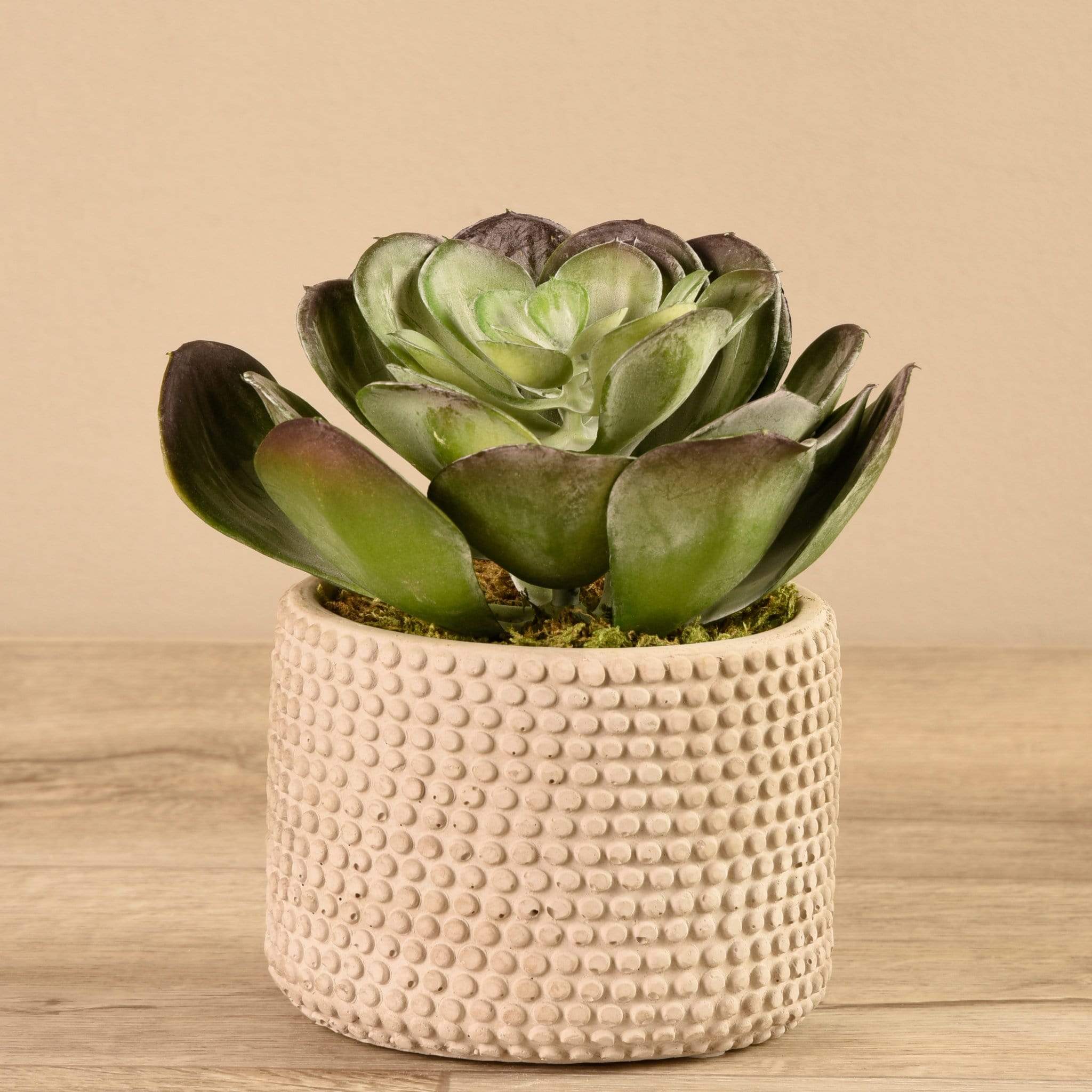 Artificial Potted Succulent
