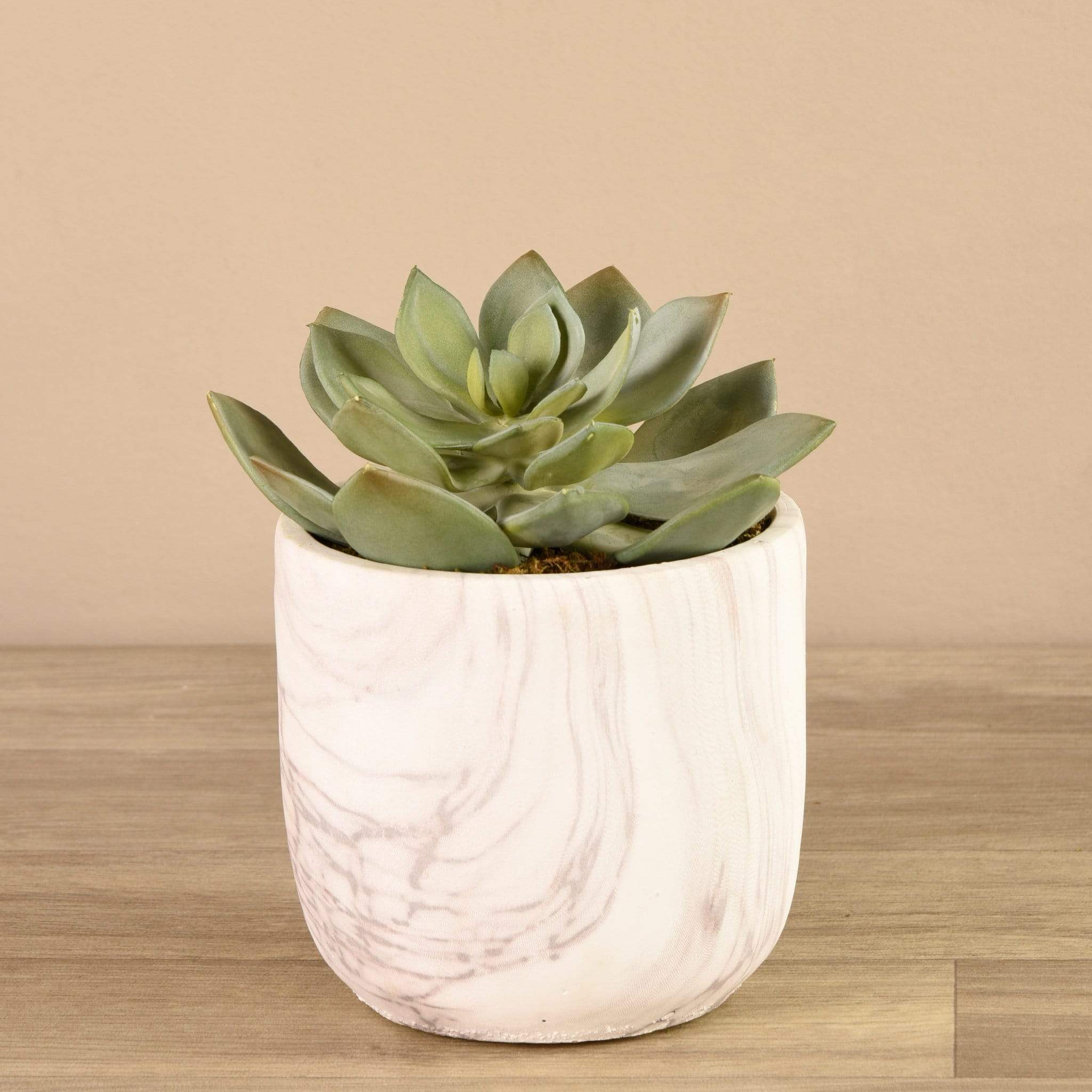 Artificial Potted Succulent