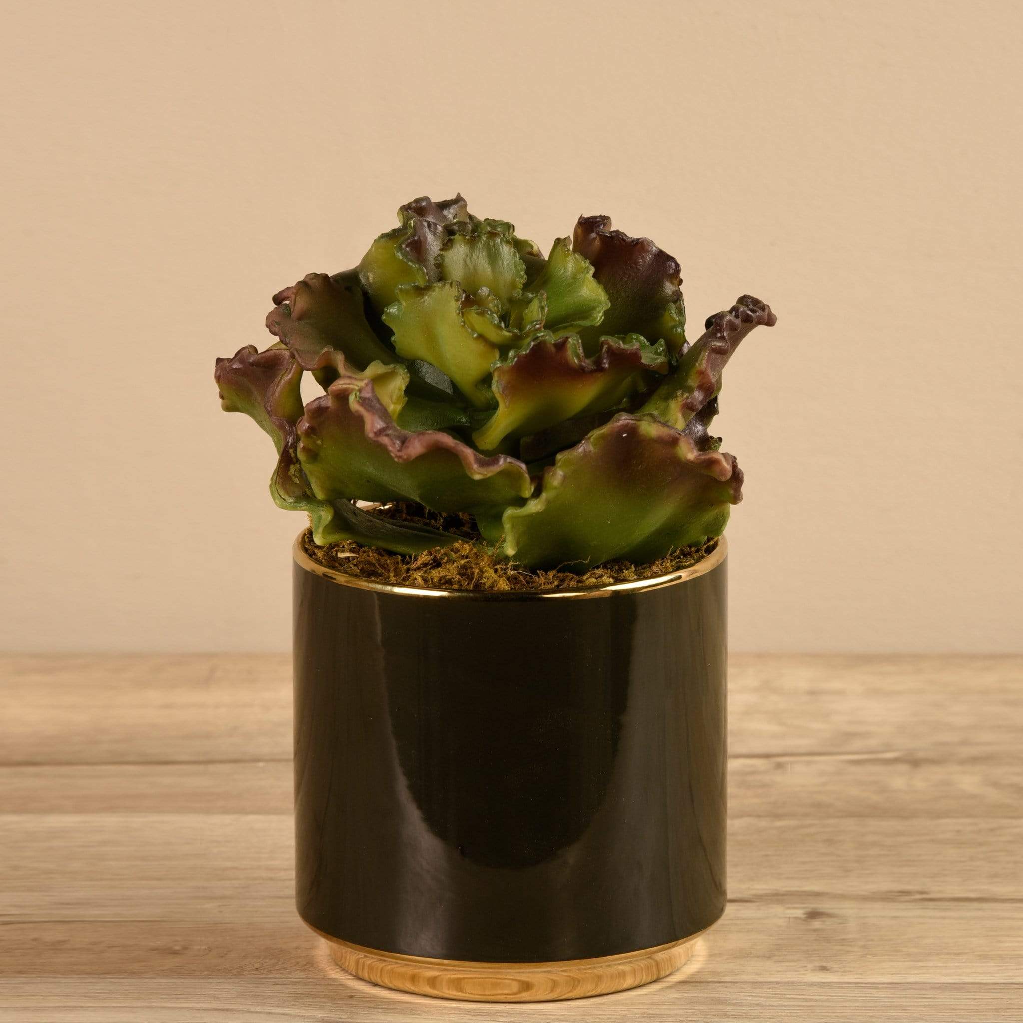 Artificial Potted Succulent