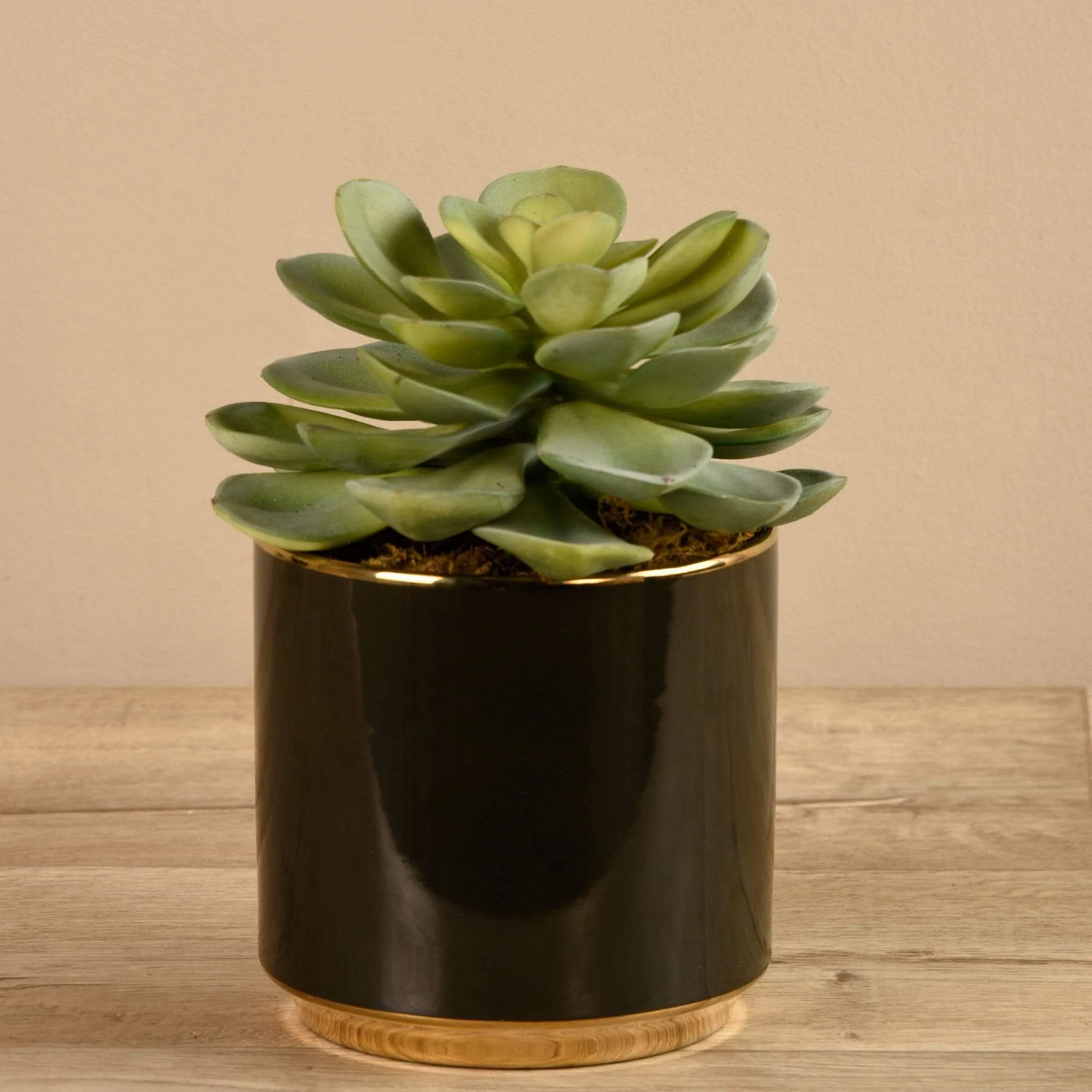 Artificial Potted Succulent