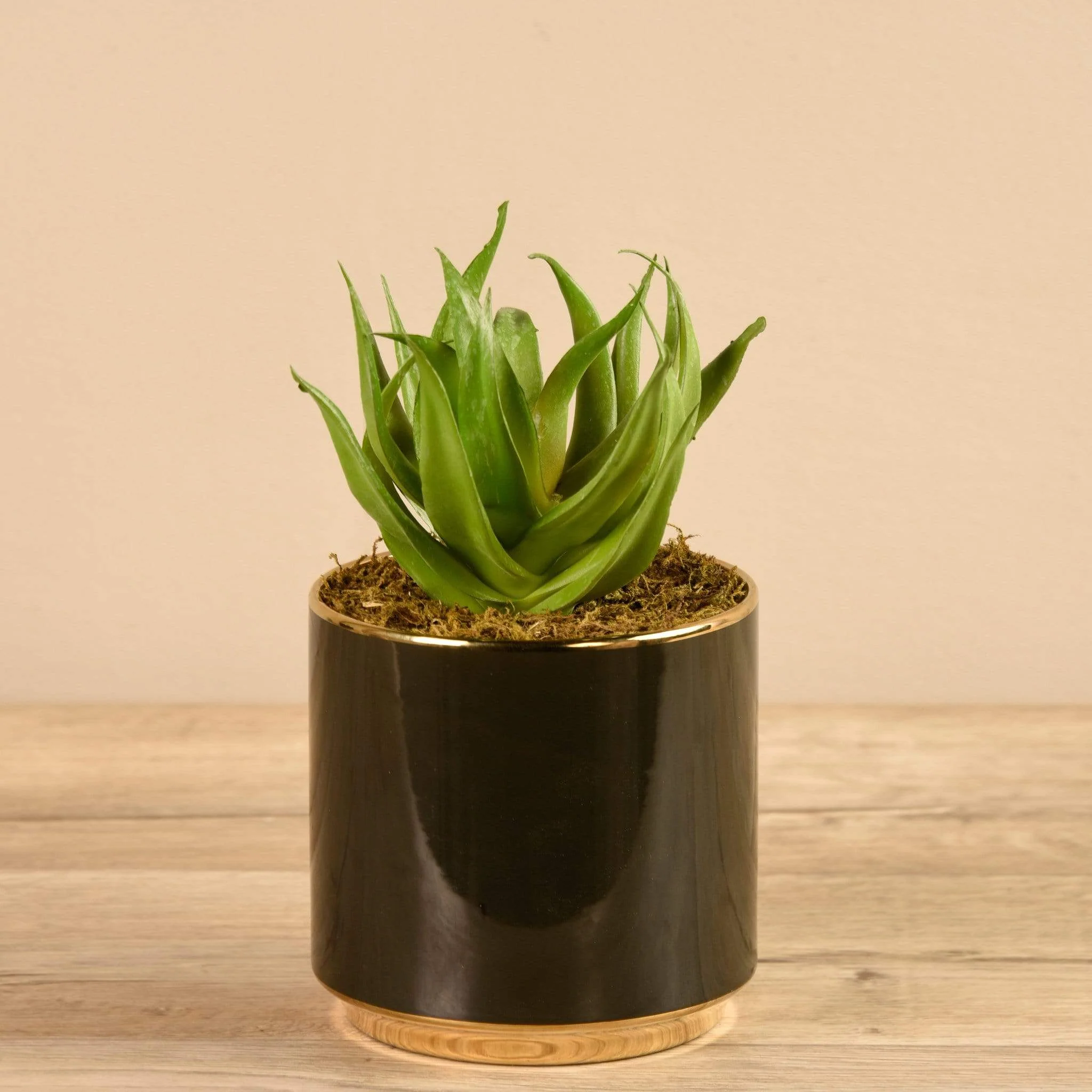 Artificial Potted Succulent