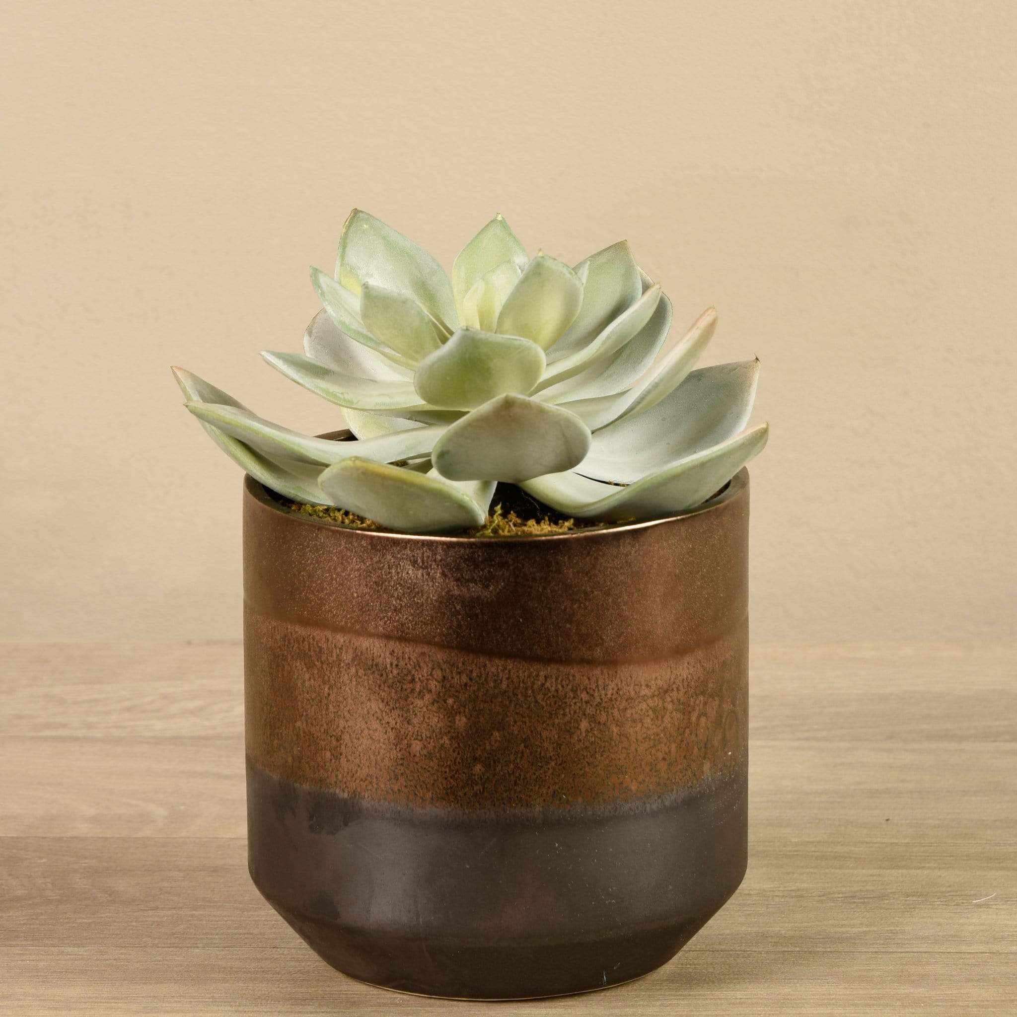 Artificial Potted Succulent