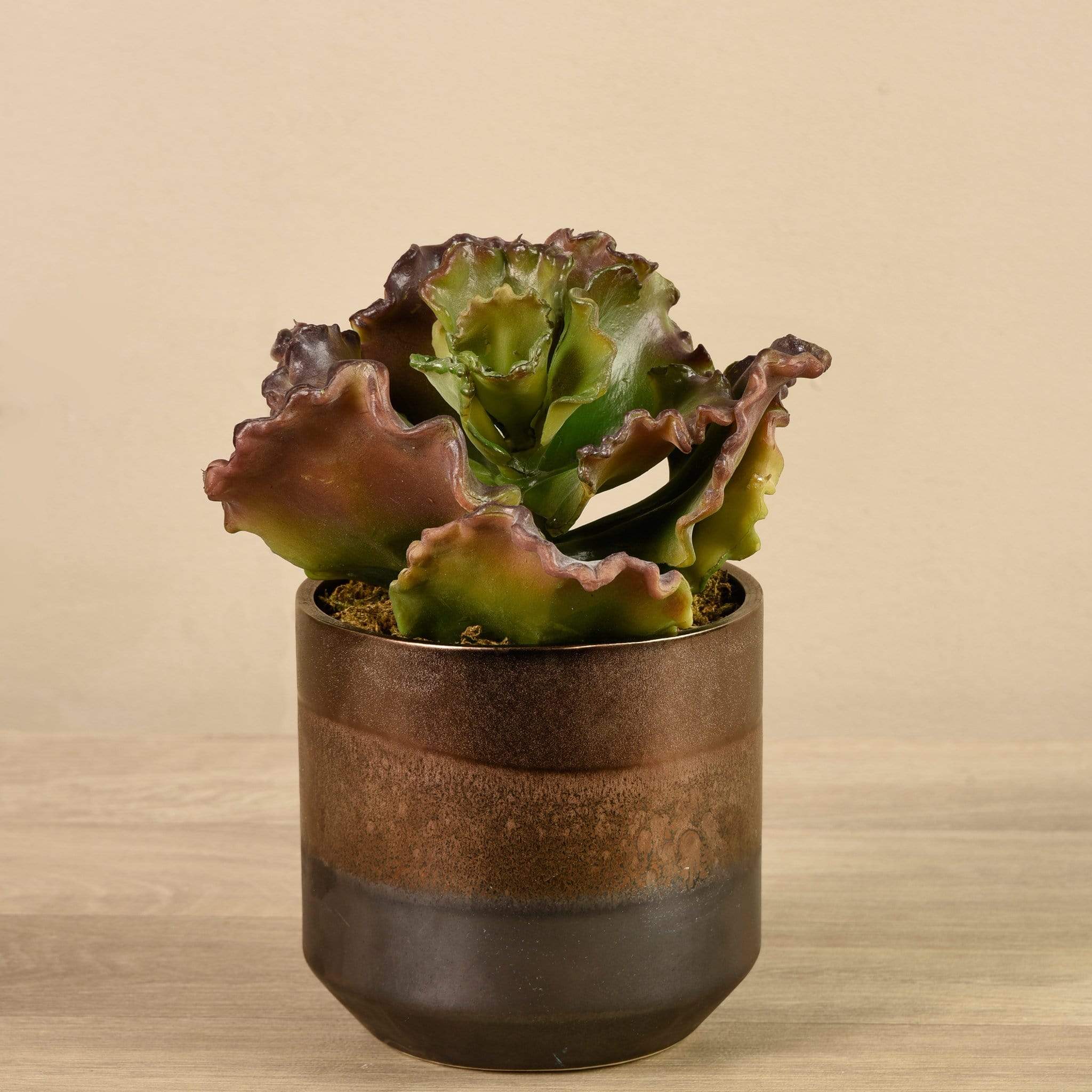 Artificial Potted Succulent