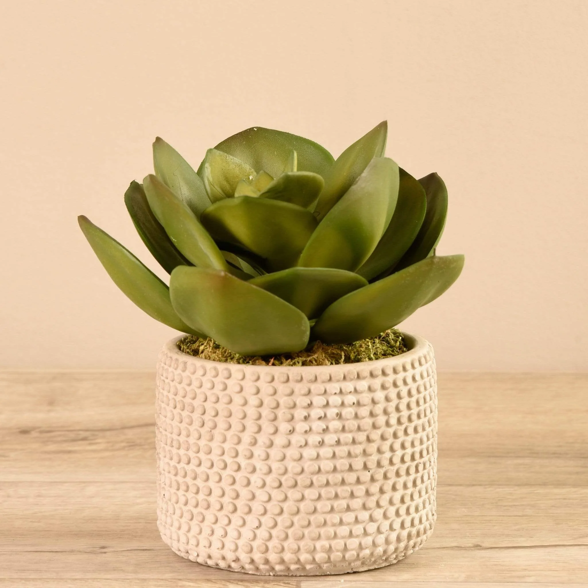 Artificial Potted Succulent