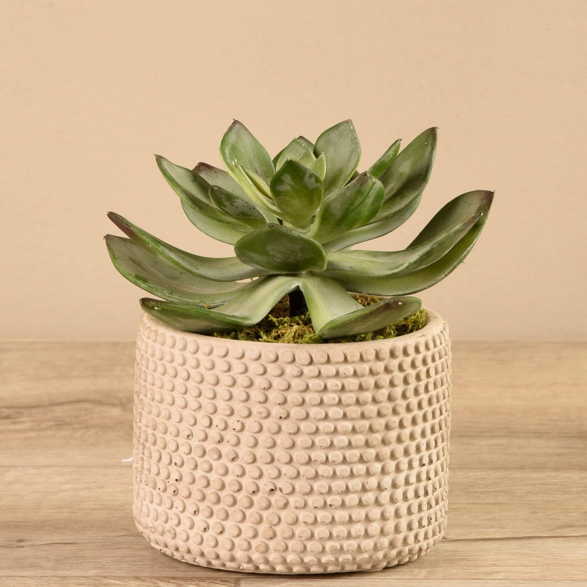 Artificial Potted Succulent