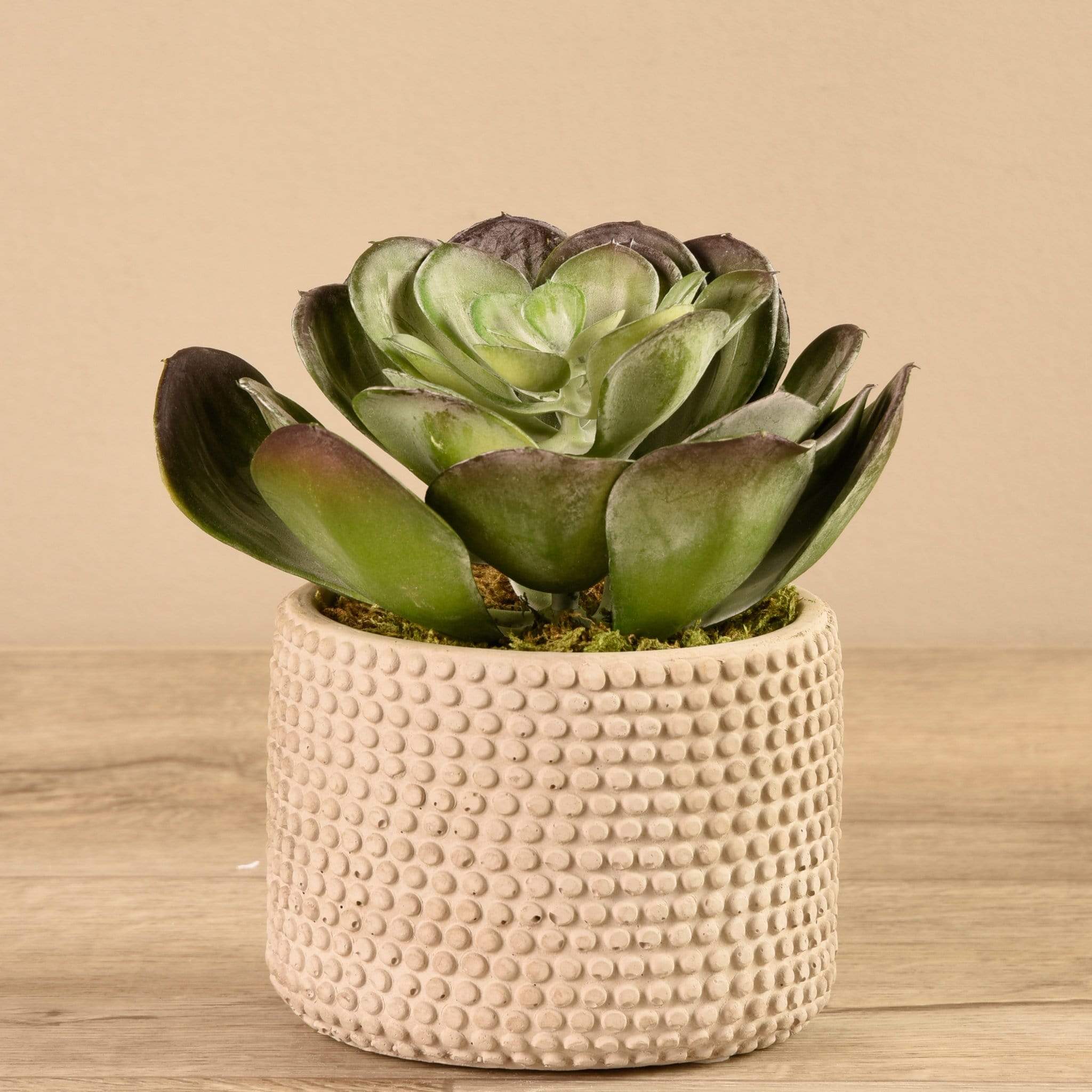 Artificial Potted Succulent