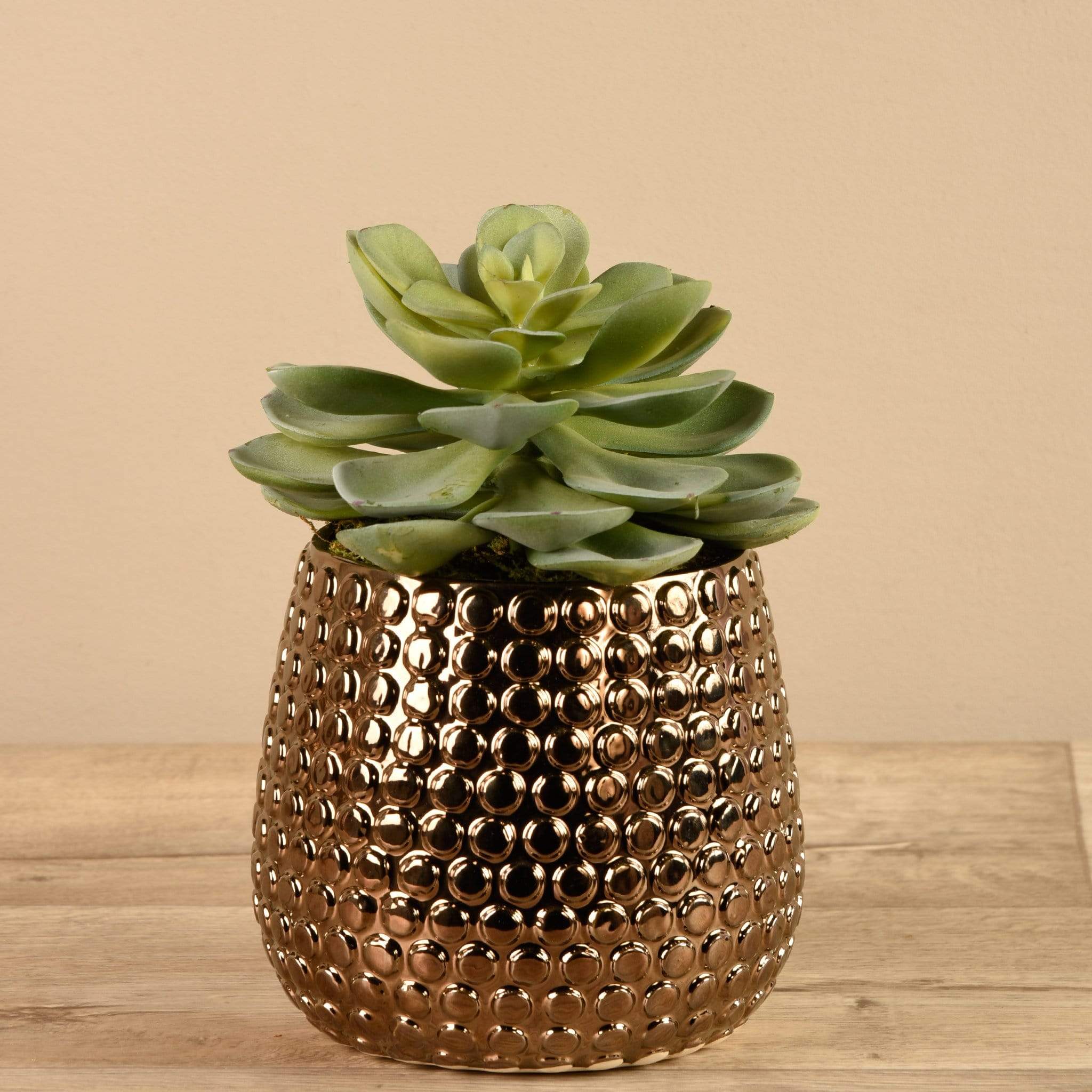 Artificial Potted Succulent