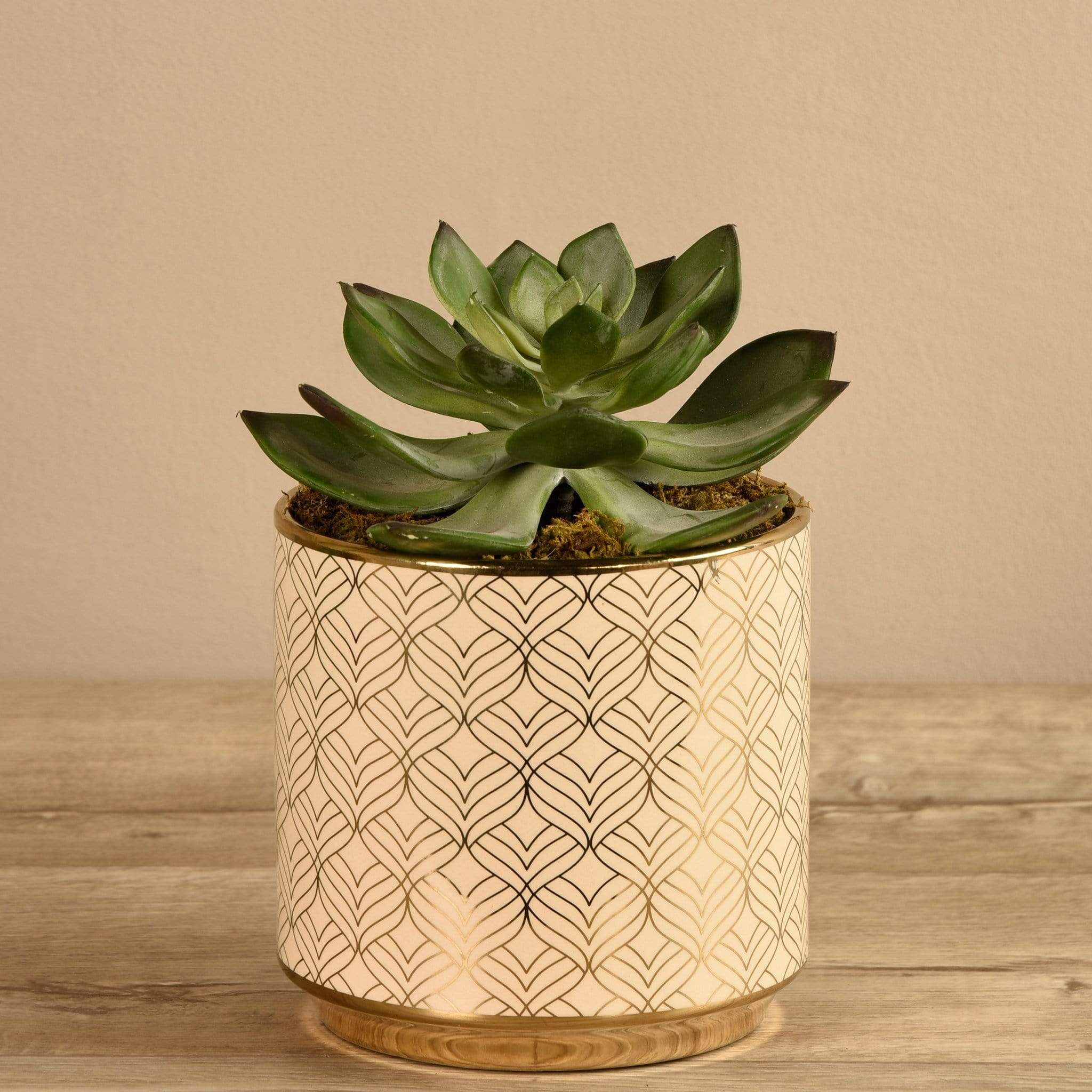 Artificial Potted Succulent