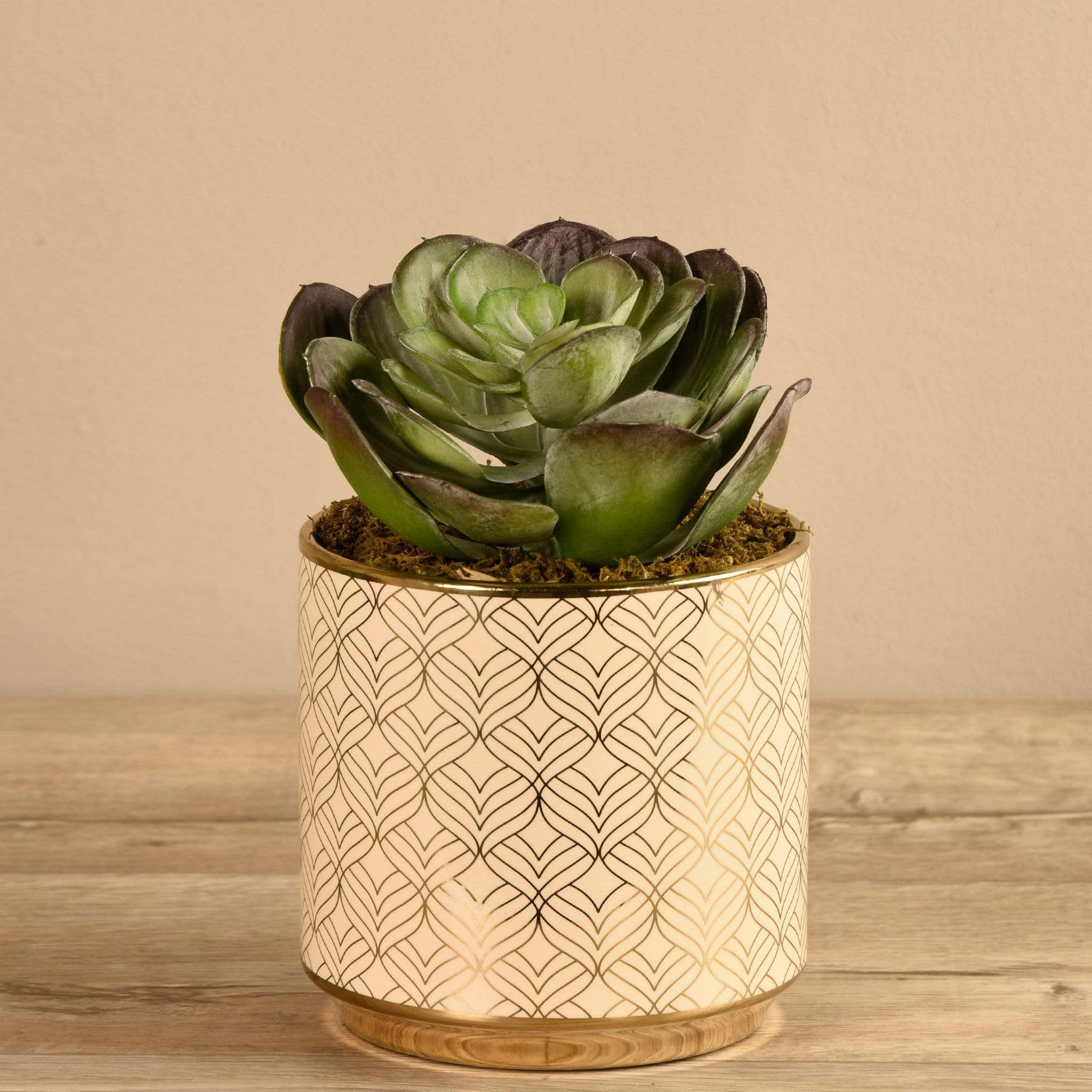 Artificial Potted Succulent