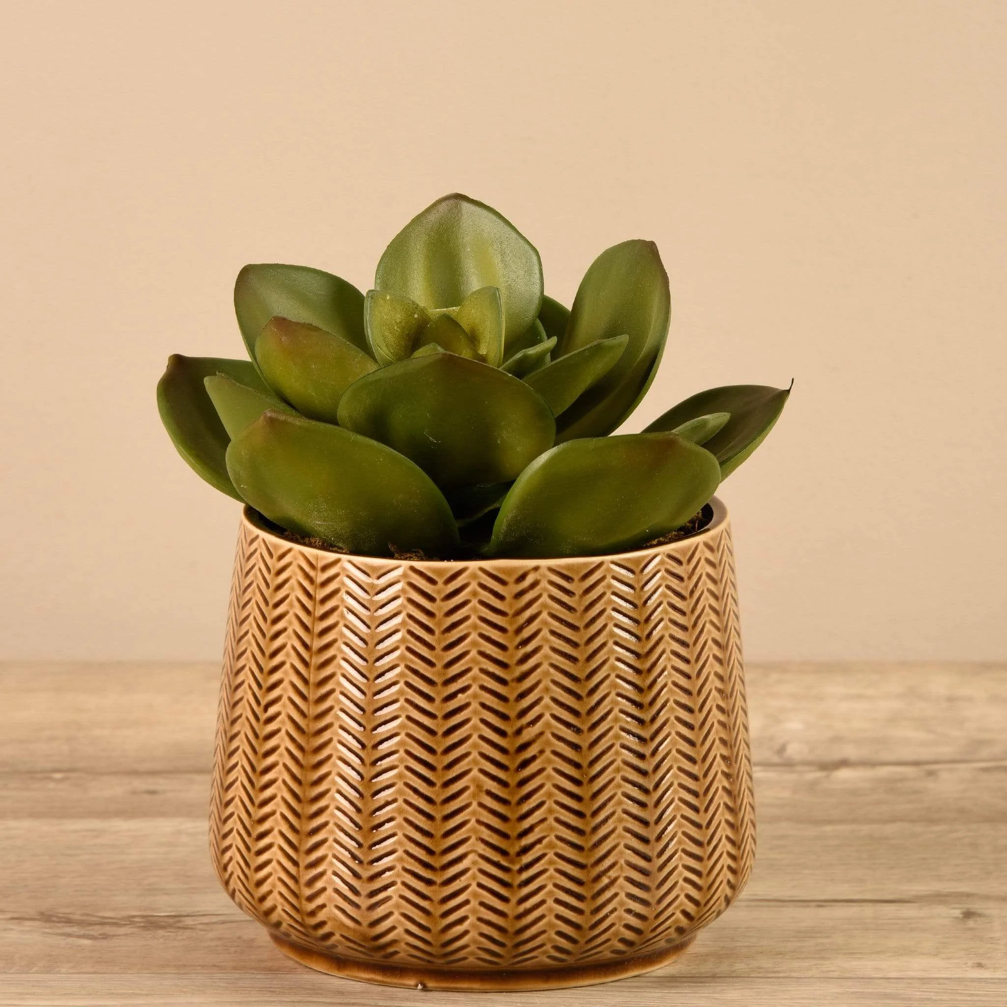 Artificial Potted Succulent