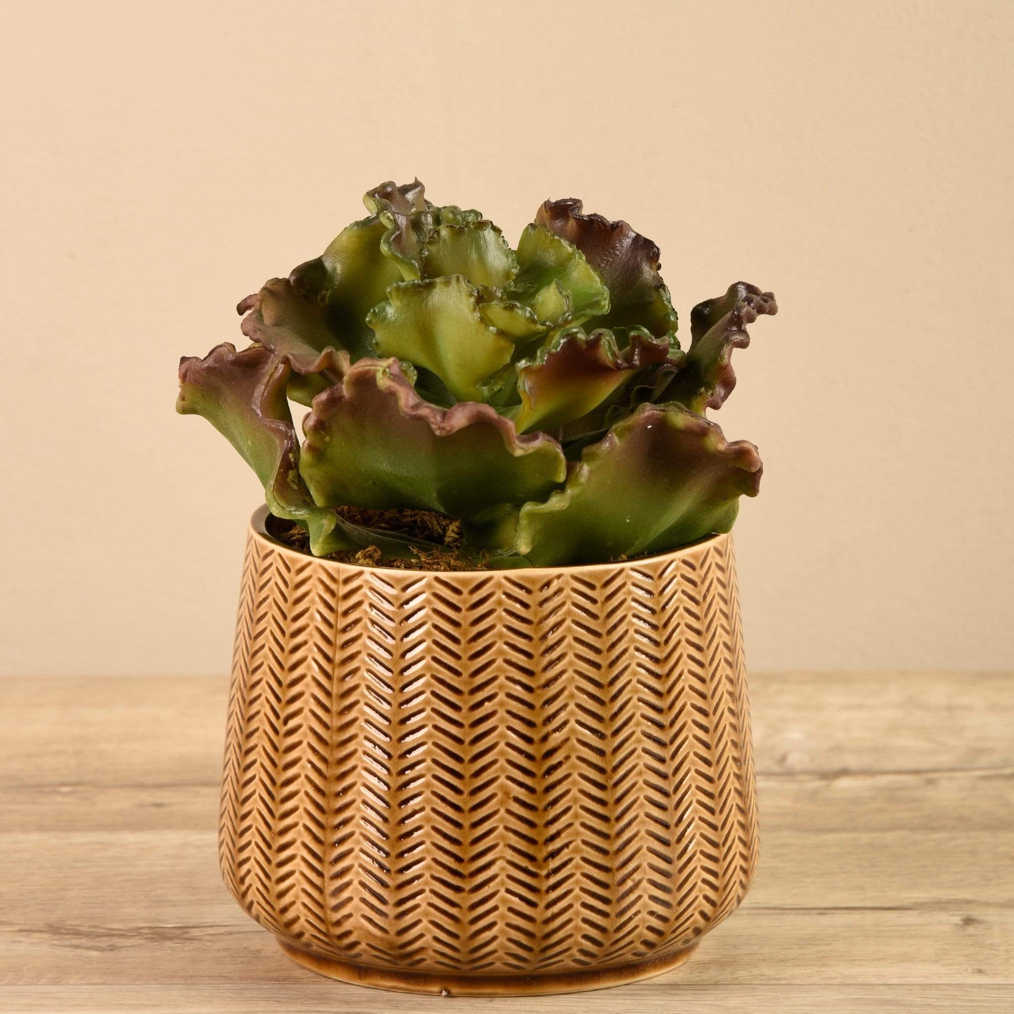 Artificial Potted Succulent