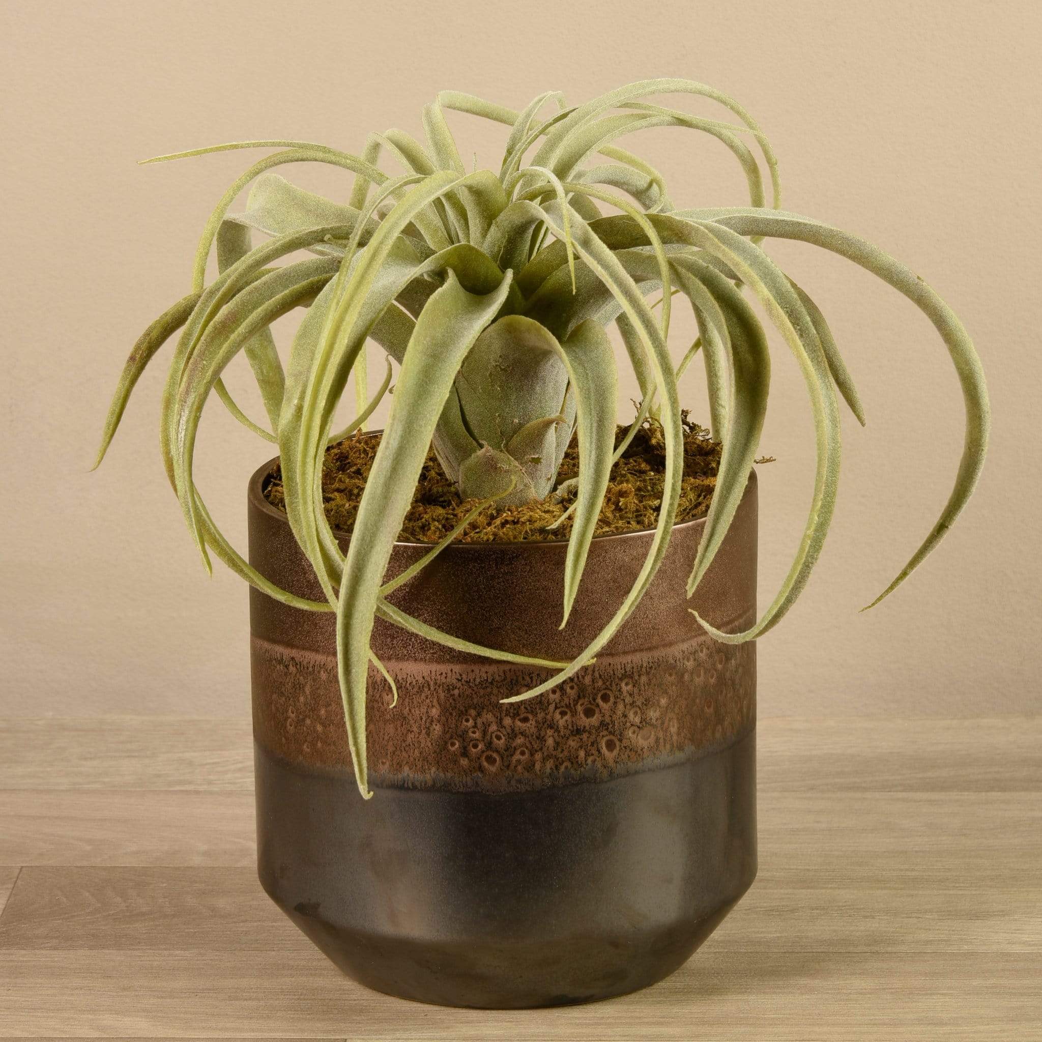 Artificial Potted Tillandsia