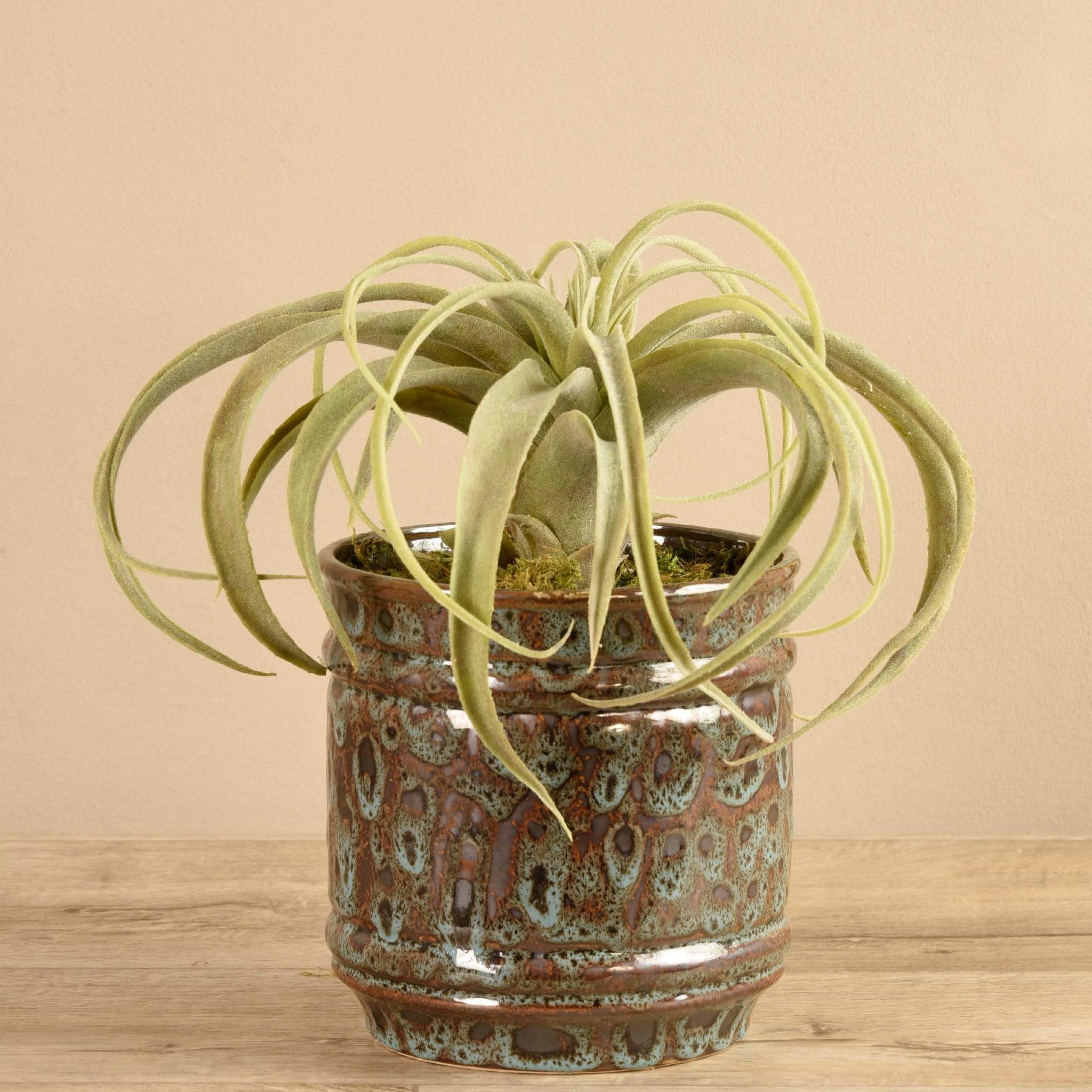 Artificial Potted Tillandsia