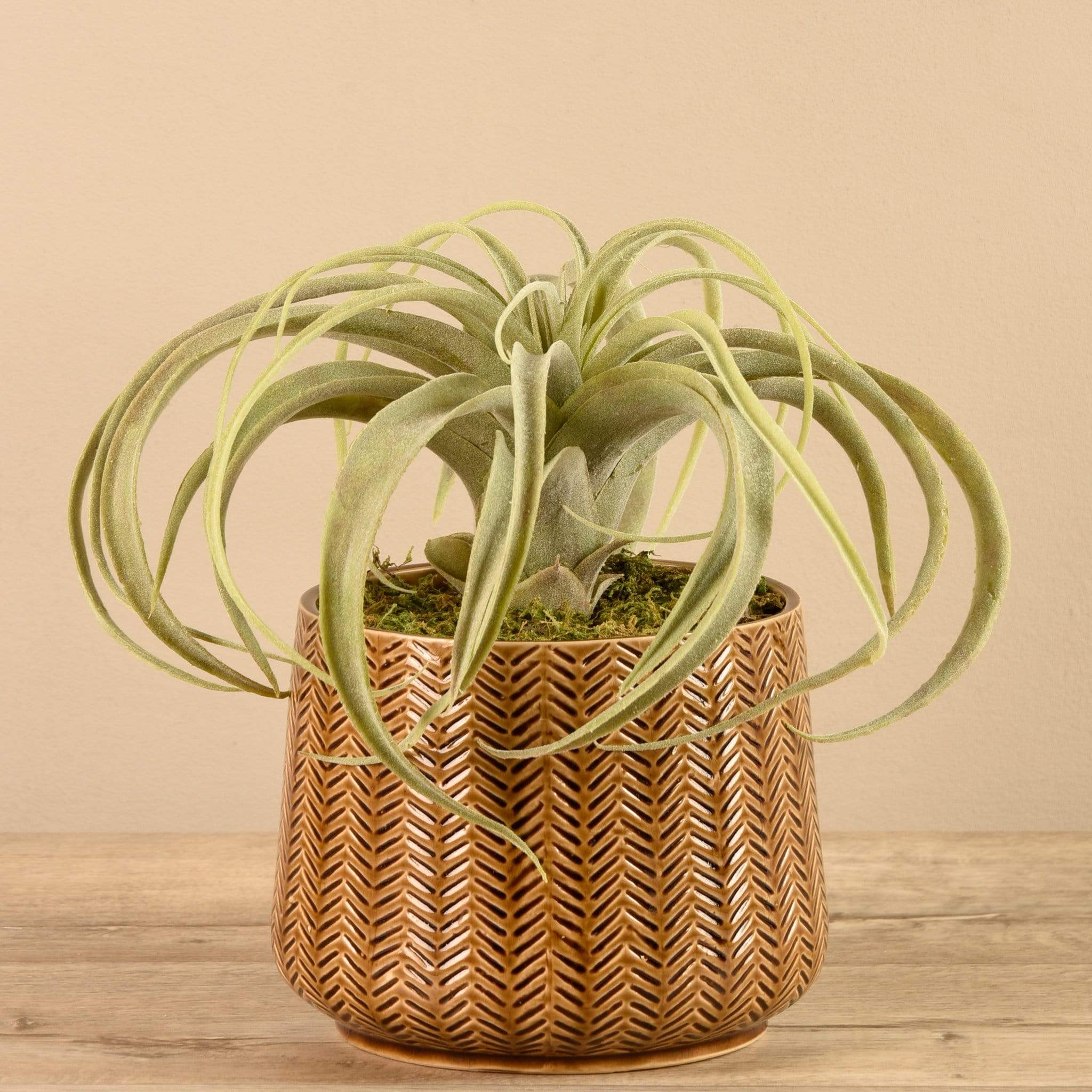 Artificial Potted Tillandsia