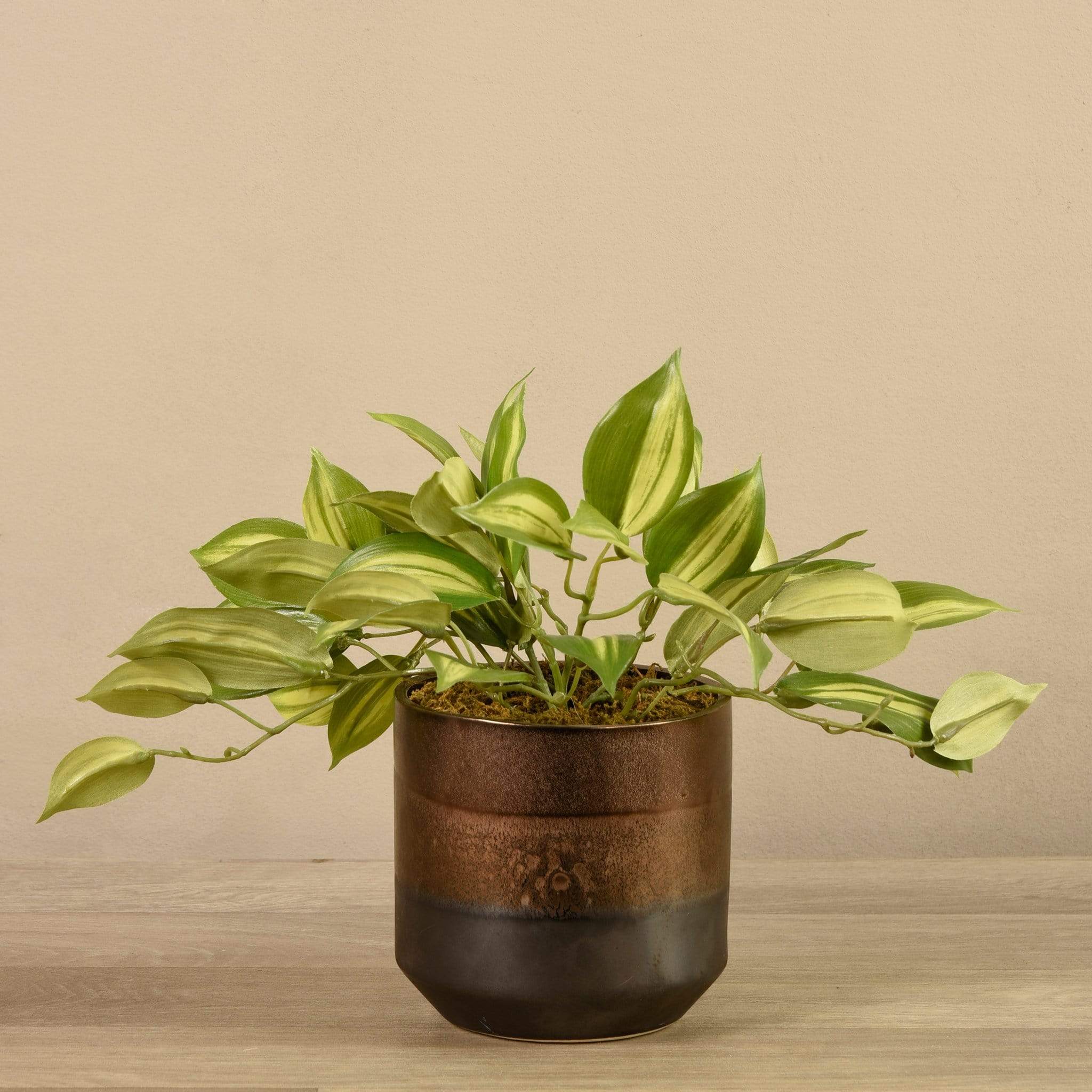 Artificial Potted Vanilla Leaf Plant - Image 2