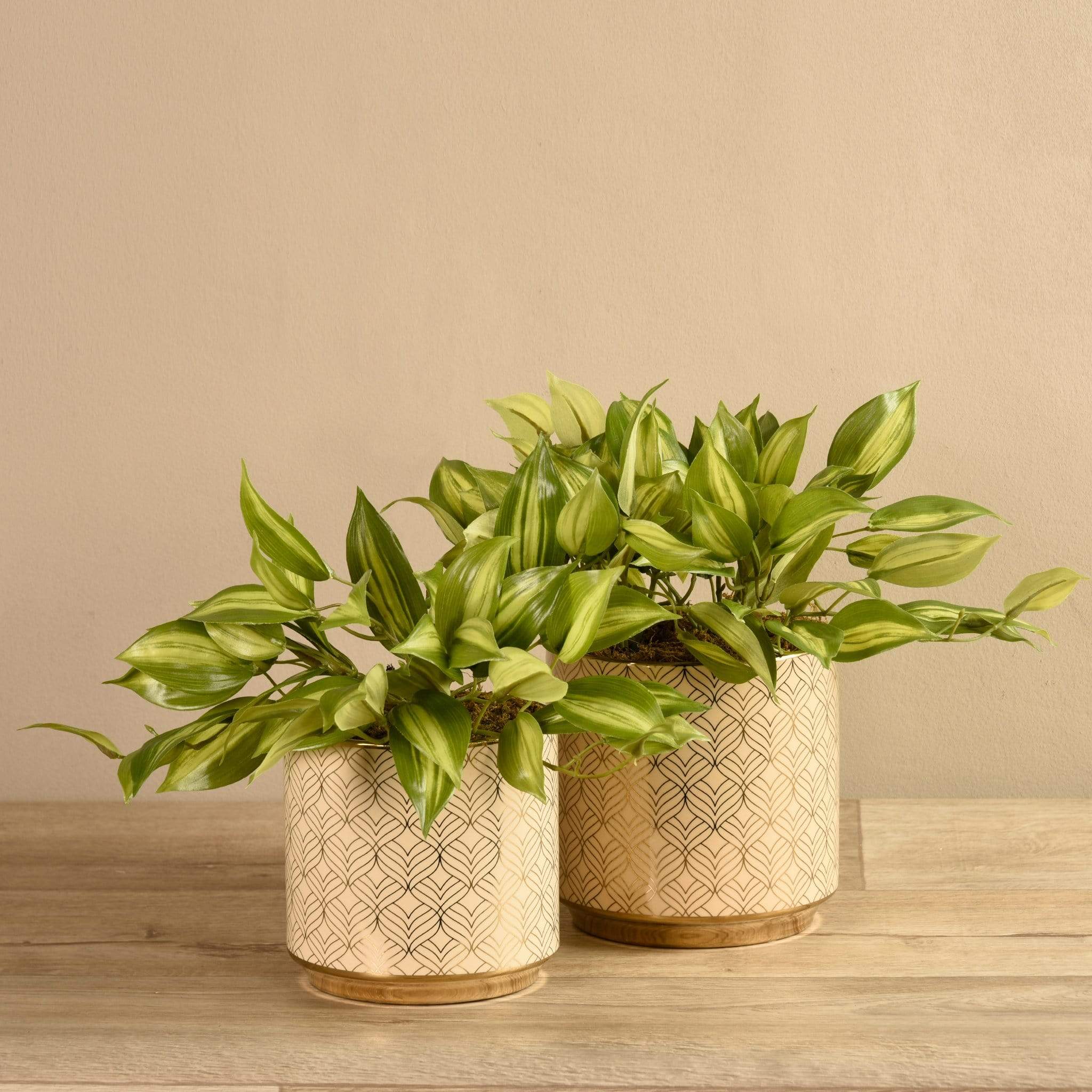 Artificial Potted Vanilla Leaf Plant