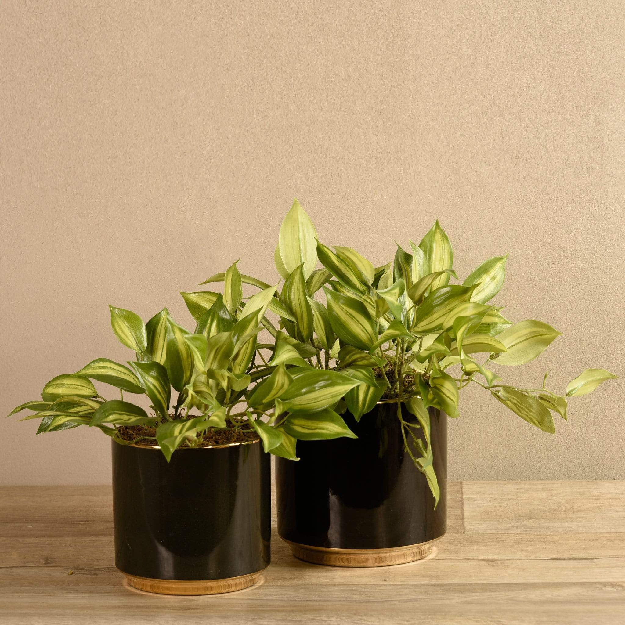 Artificial Potted Vanilla Leaf