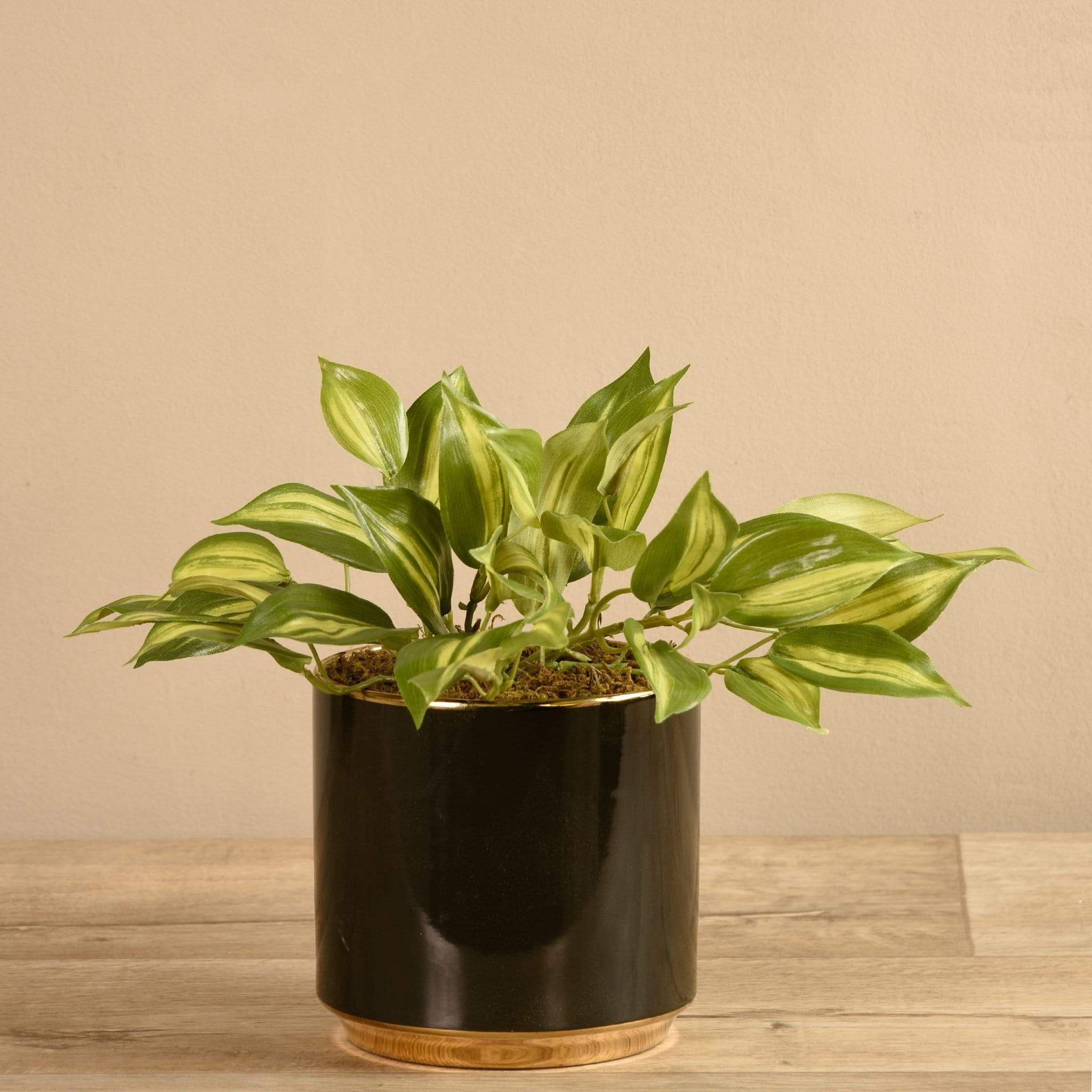 Artificial Potted Vanilla Leaf - Image 2