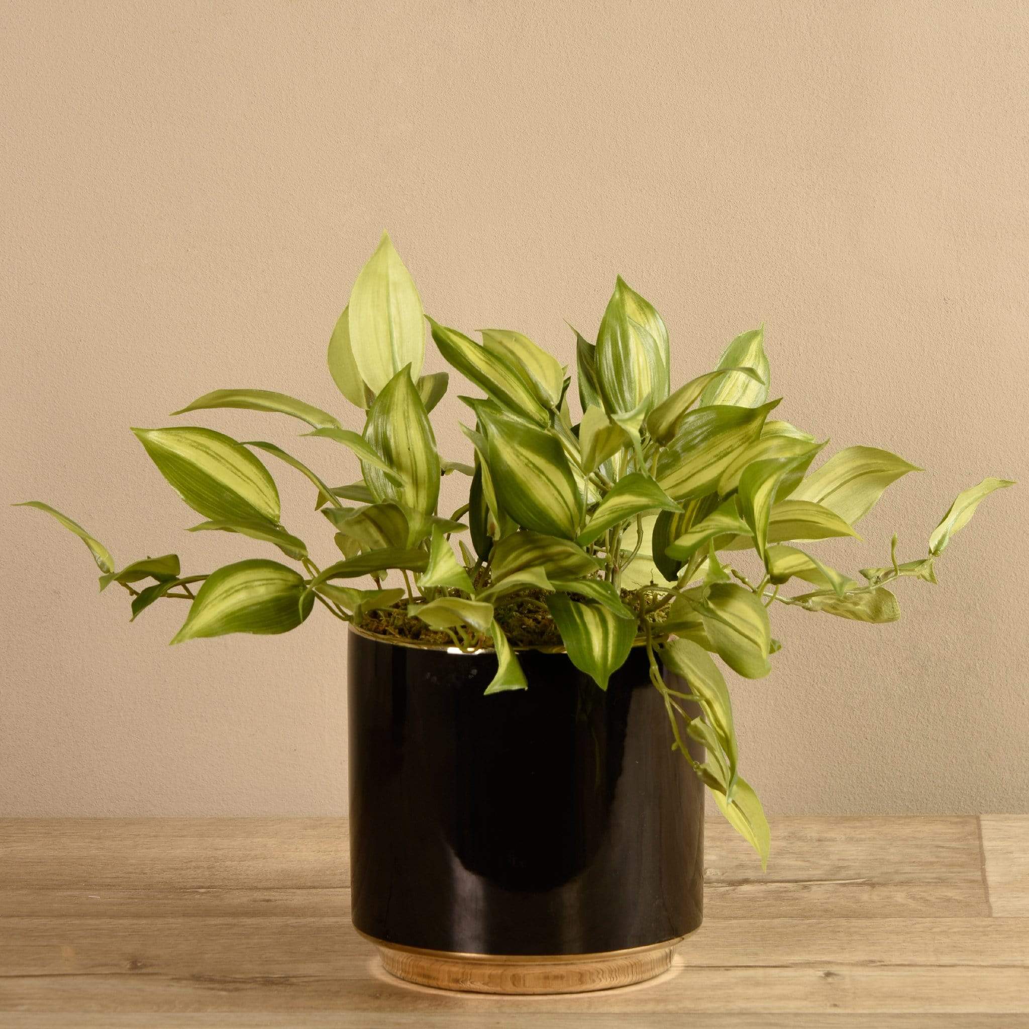 Artificial Potted Vanilla Leaf - Image 3