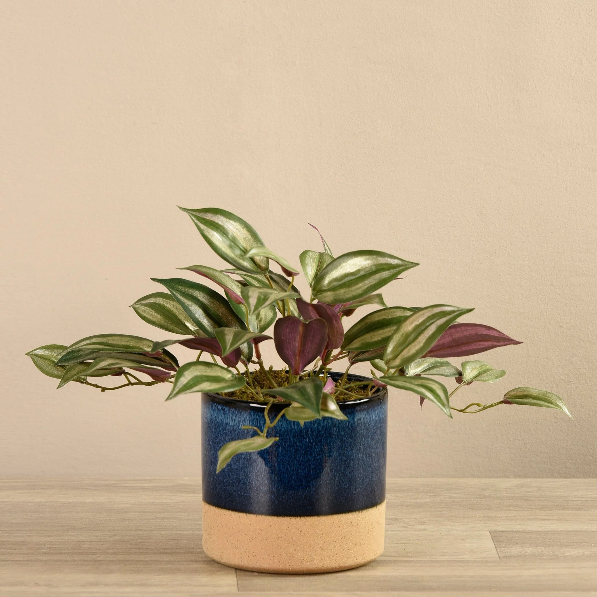Artificial Potted Vanilla Leaf Plant - Image 2