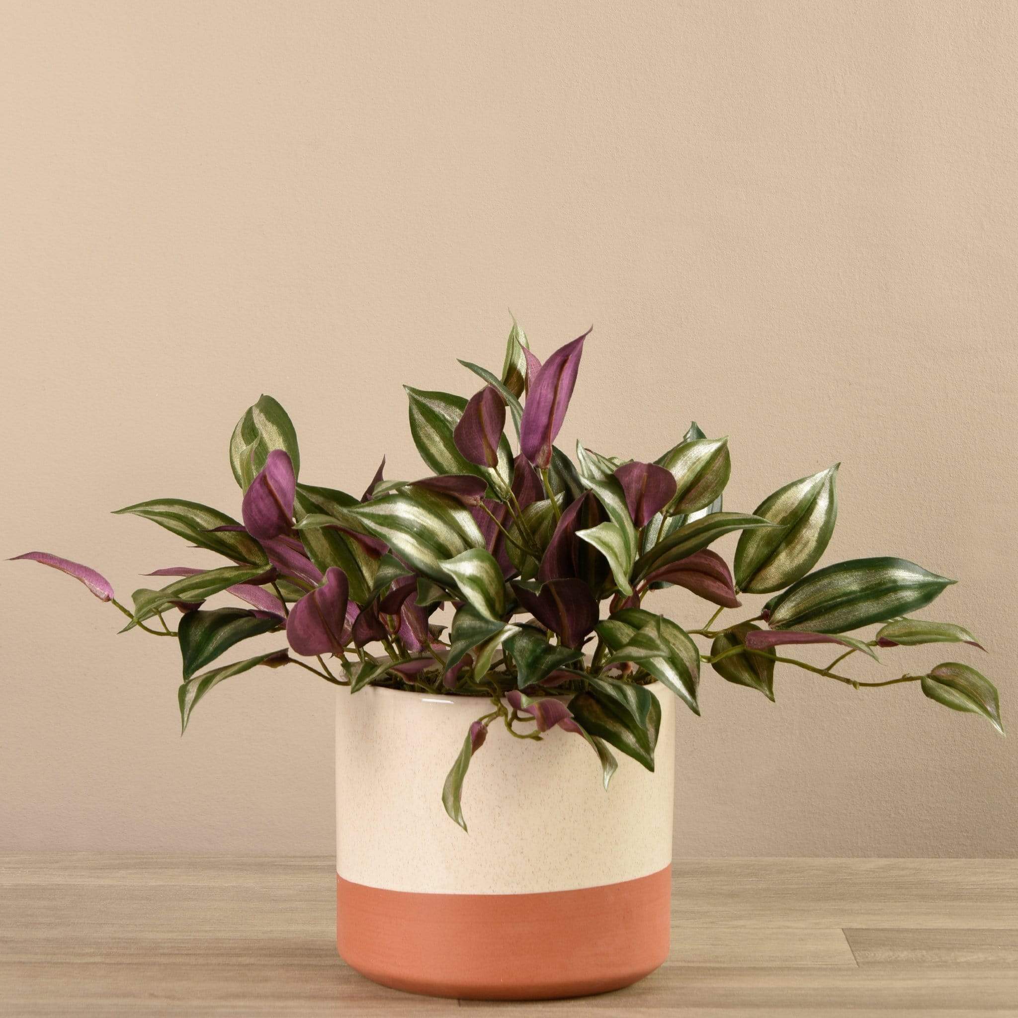 Artificial Potted Vanilla Leaf Plant - Image 3