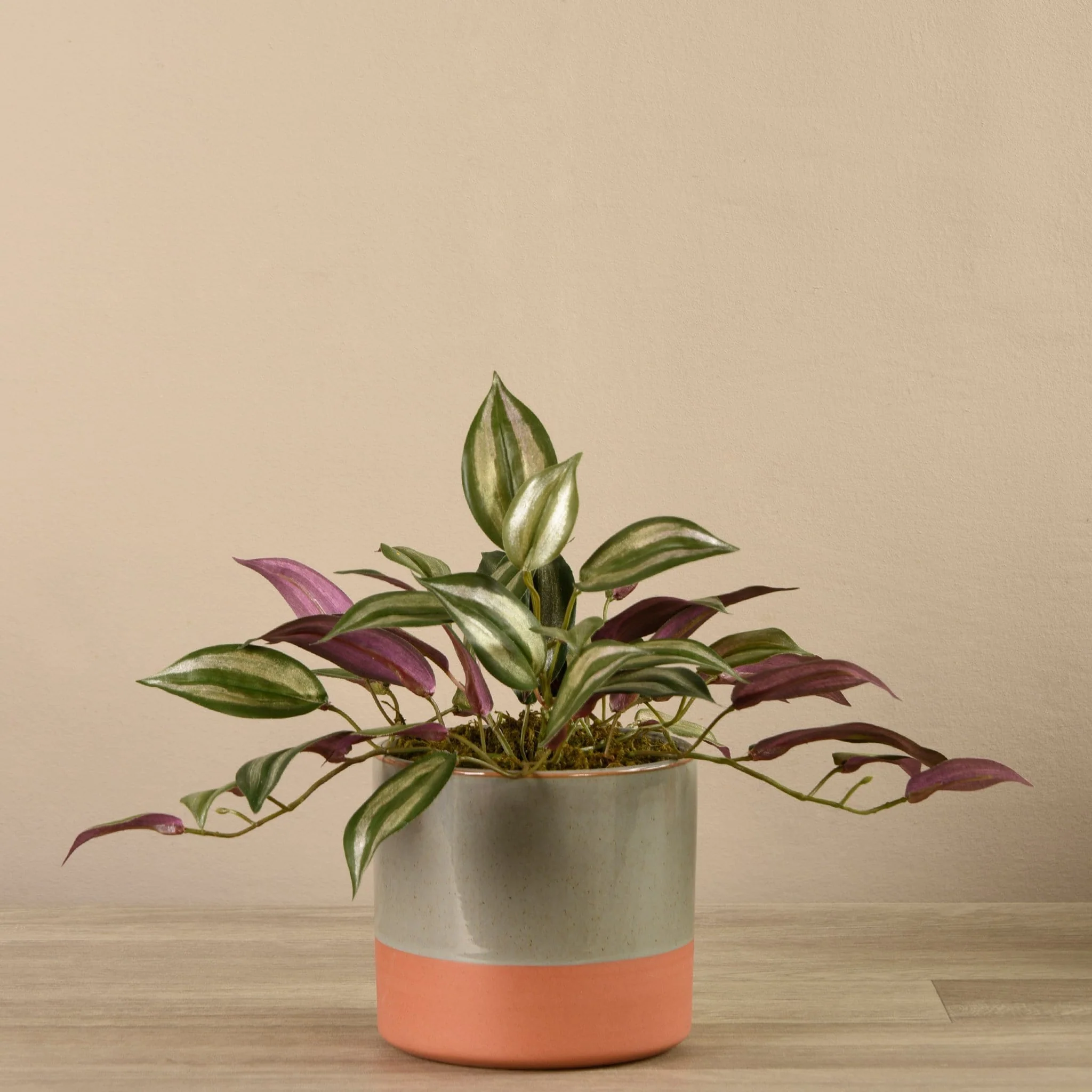 Artificial Potted Vanilla Leaf Plant - Image 2