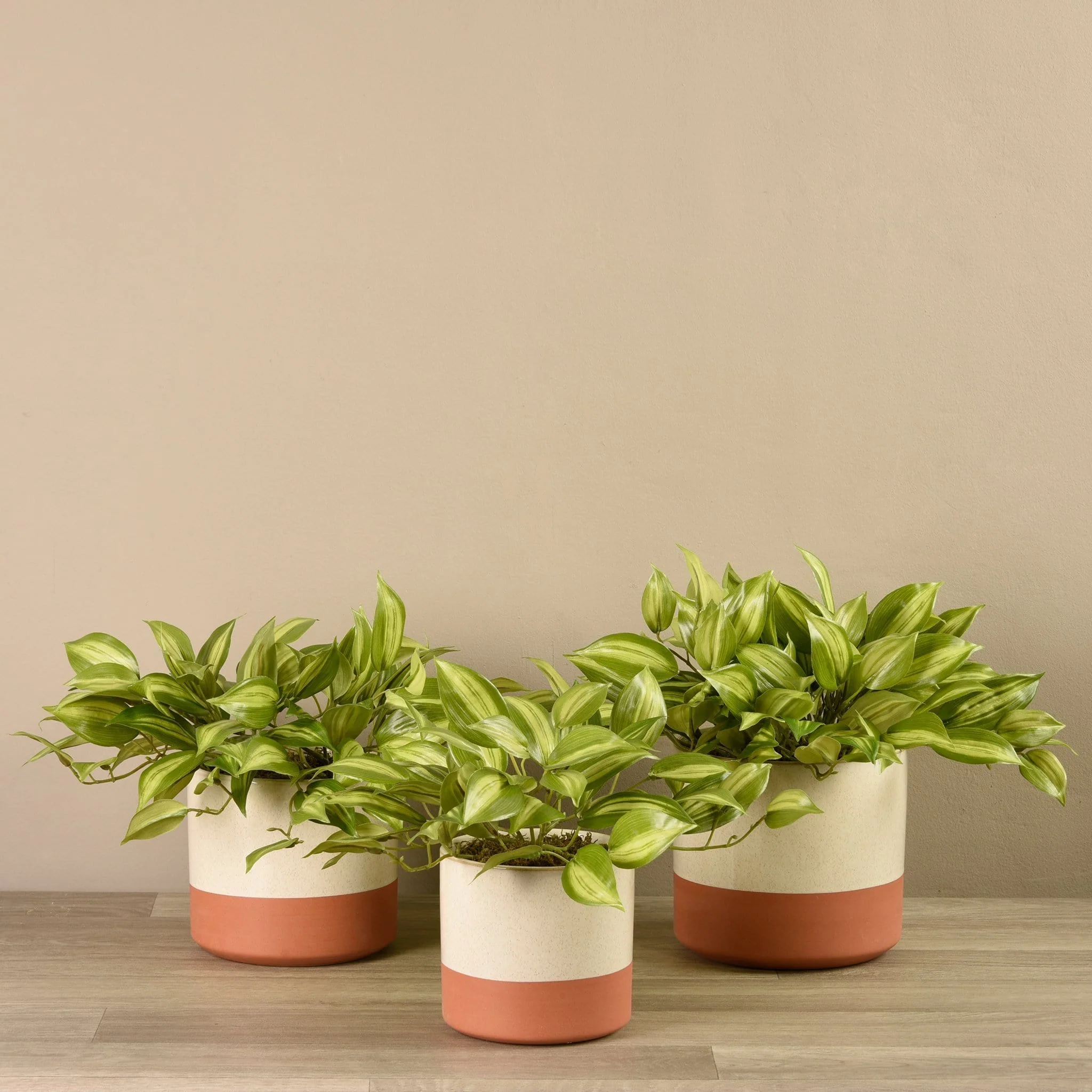 Artificial Potted Vanilla Plant