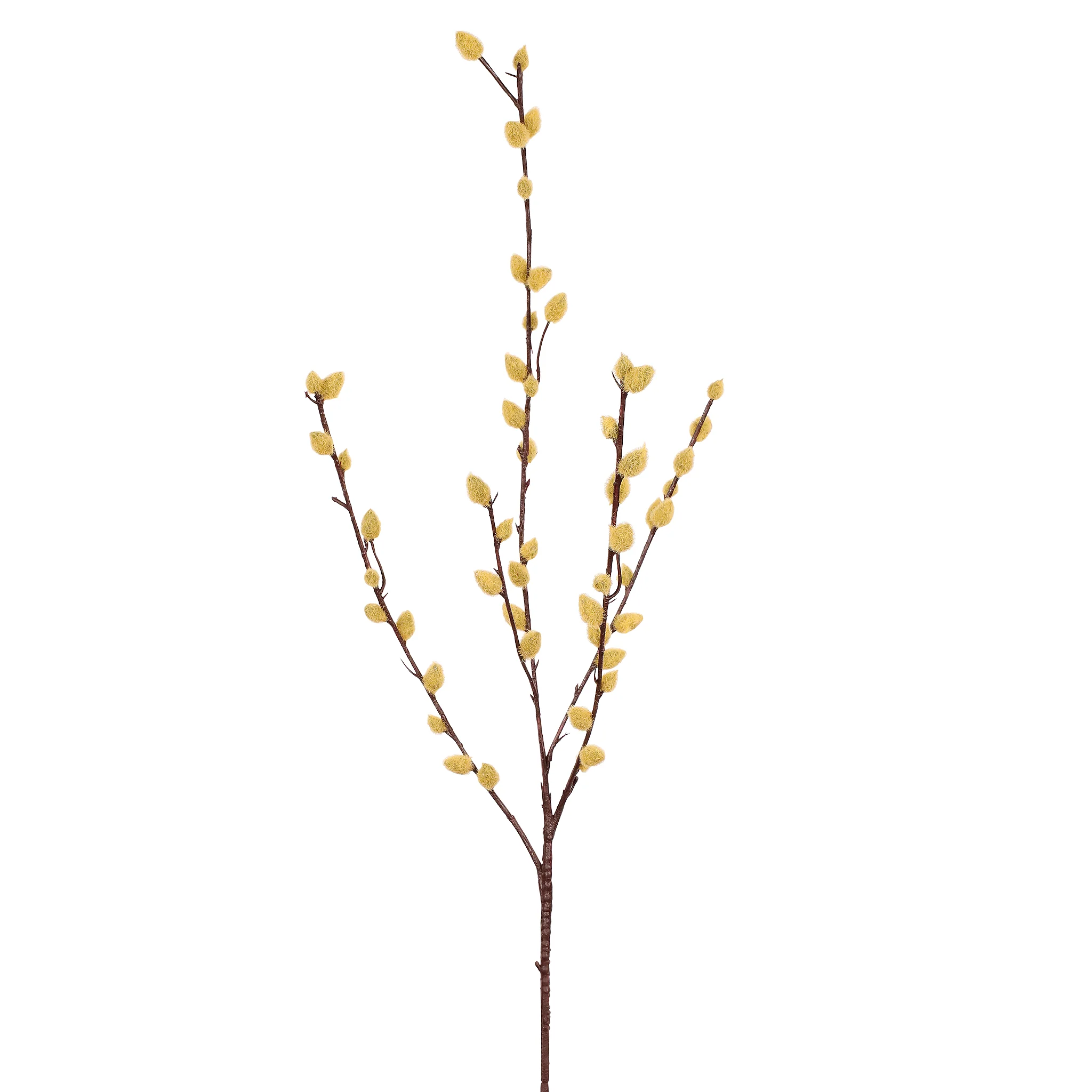 Willow Spray