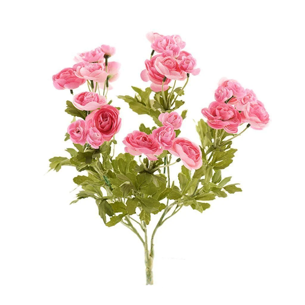 Ranunculus - Image 2