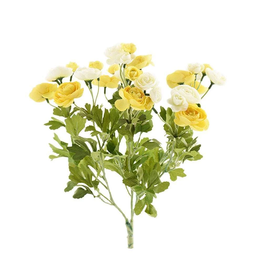 Ranunculus - Image 3