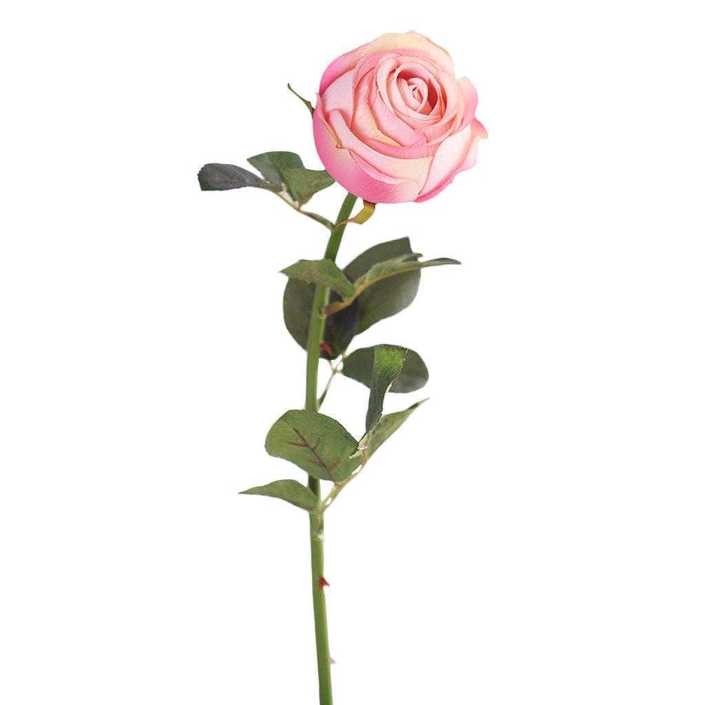 Rose - Image 3