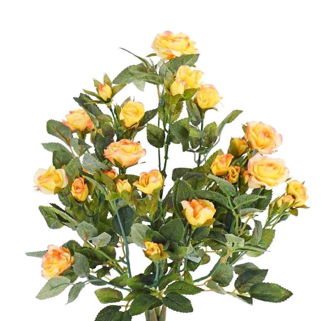 Rose - Image 3