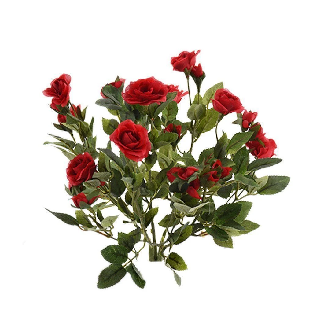 Rose - Image 4
