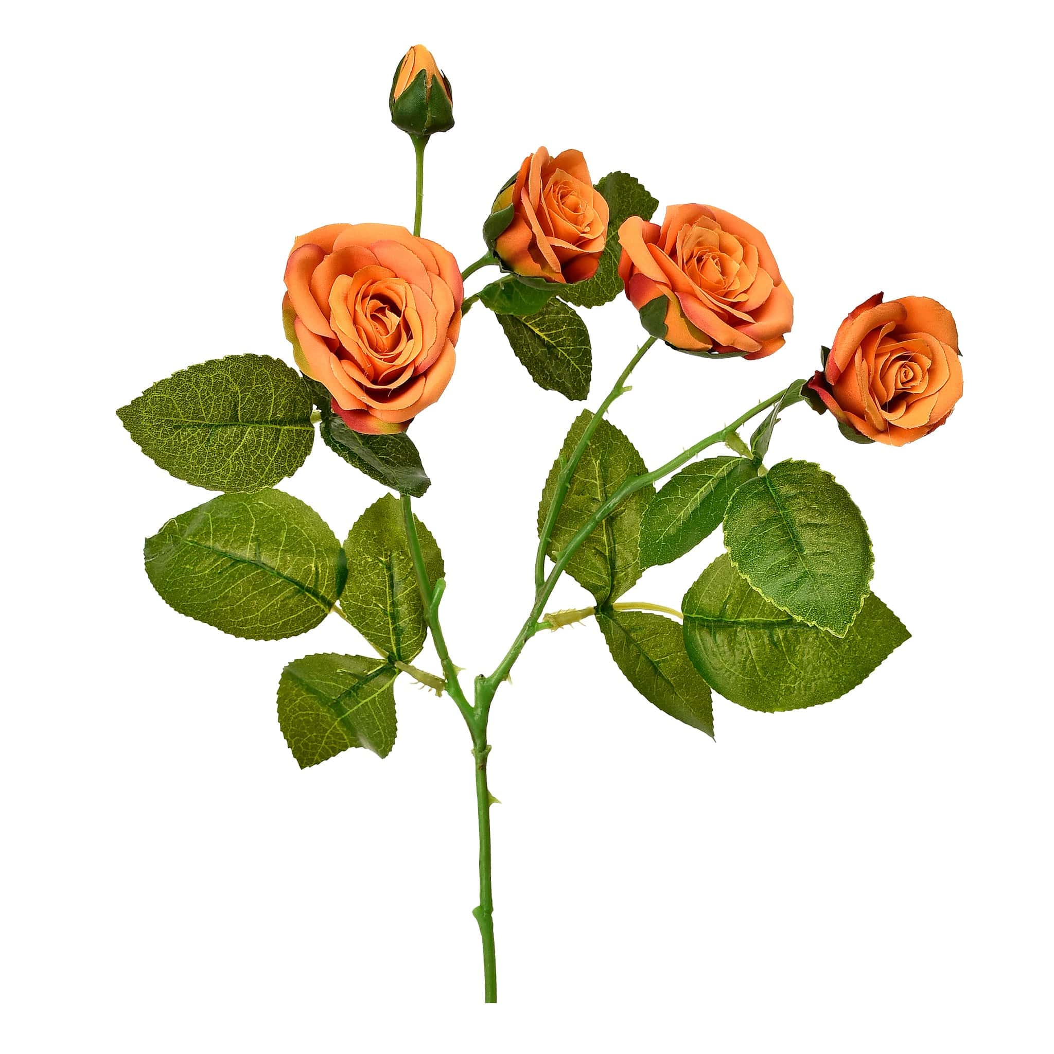 Rose - Image 3
