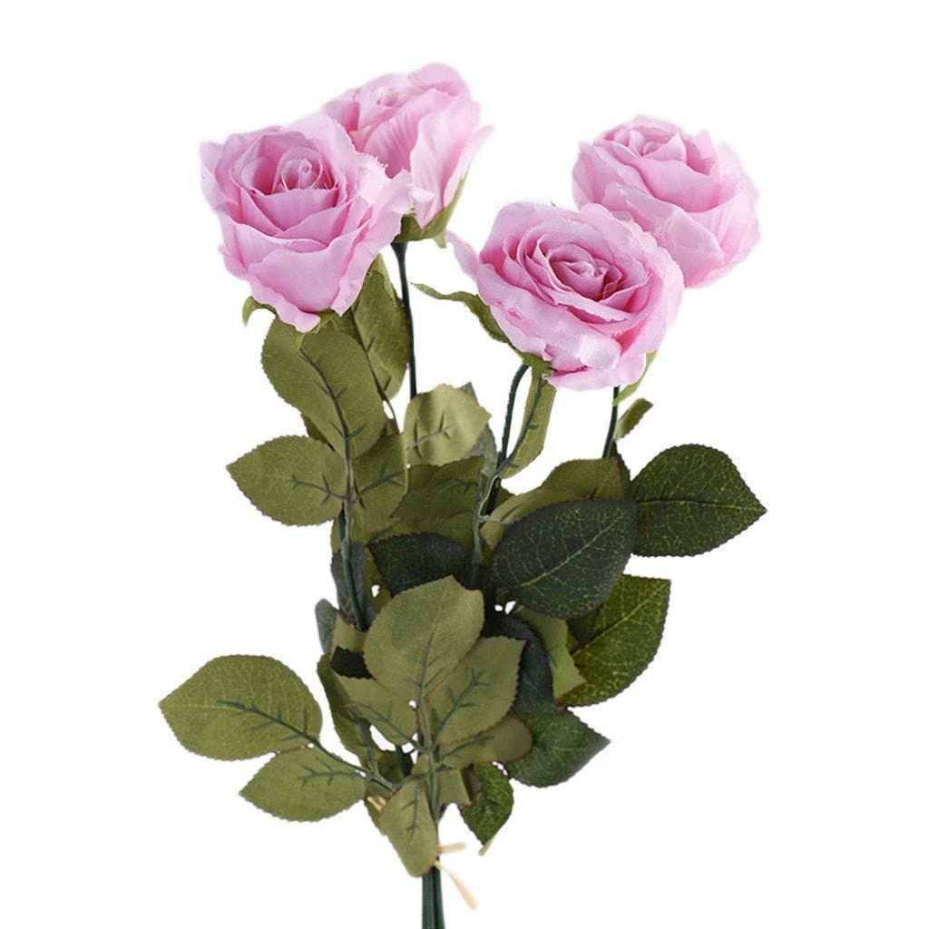 Rose - Image 2