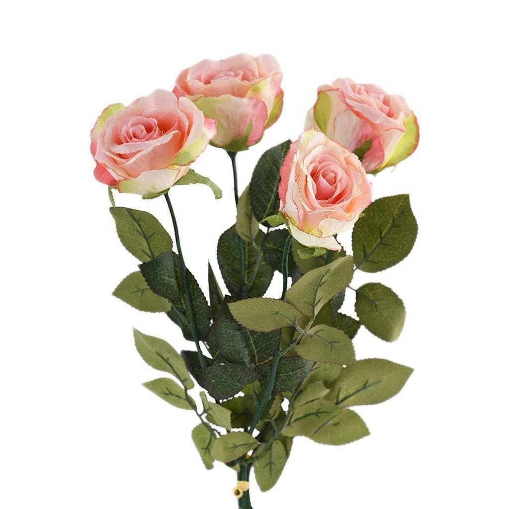 Rose - Image 3