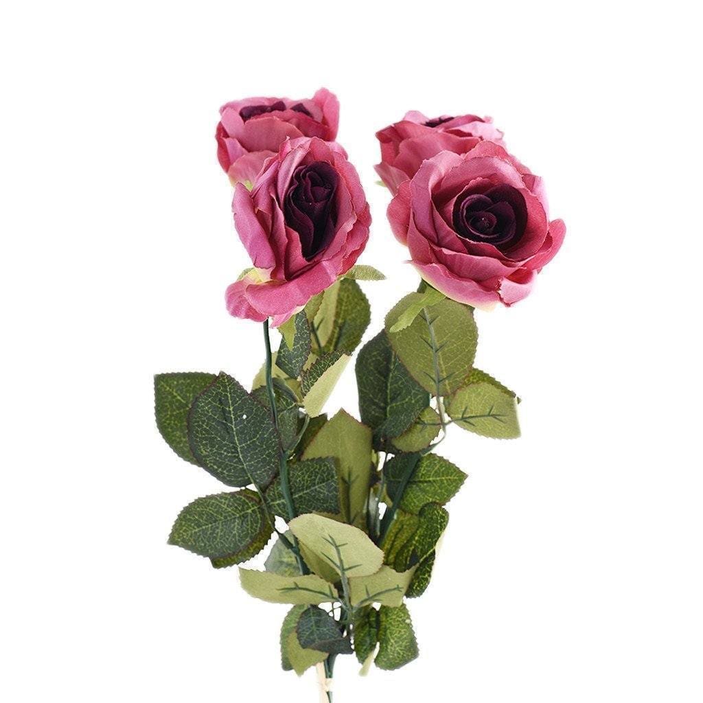 Rose - Image 4
