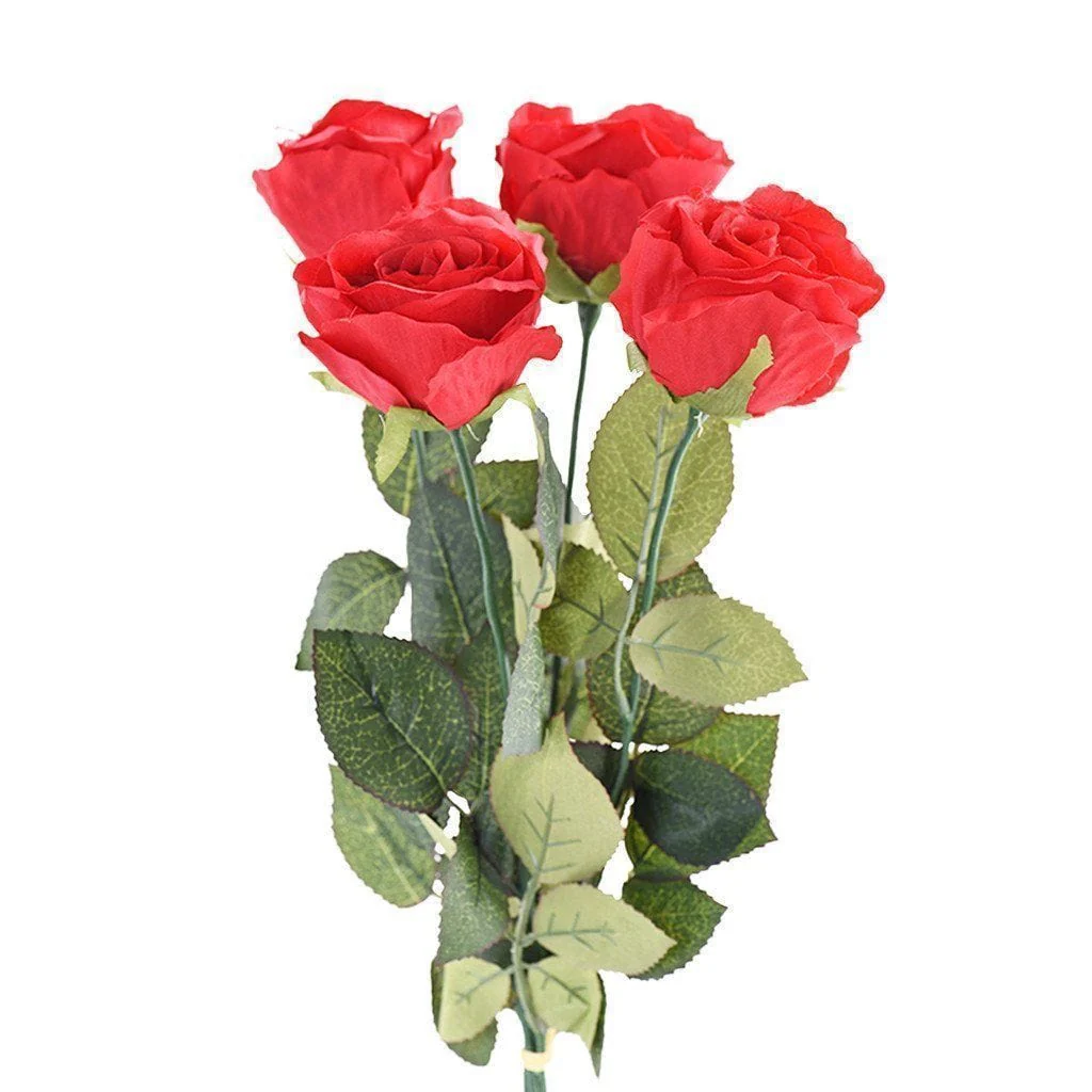 Rose - Image 5