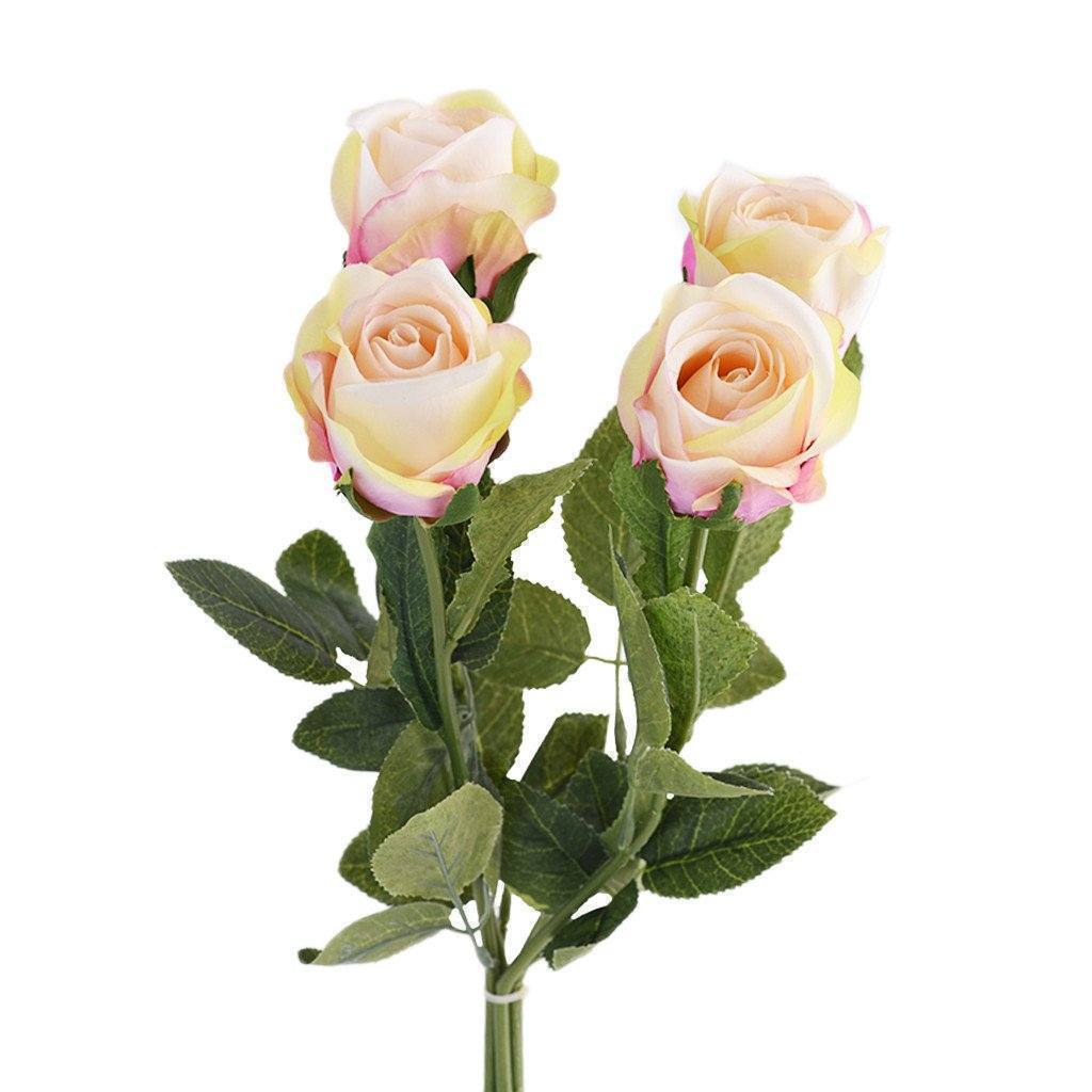 Rose - Image 2