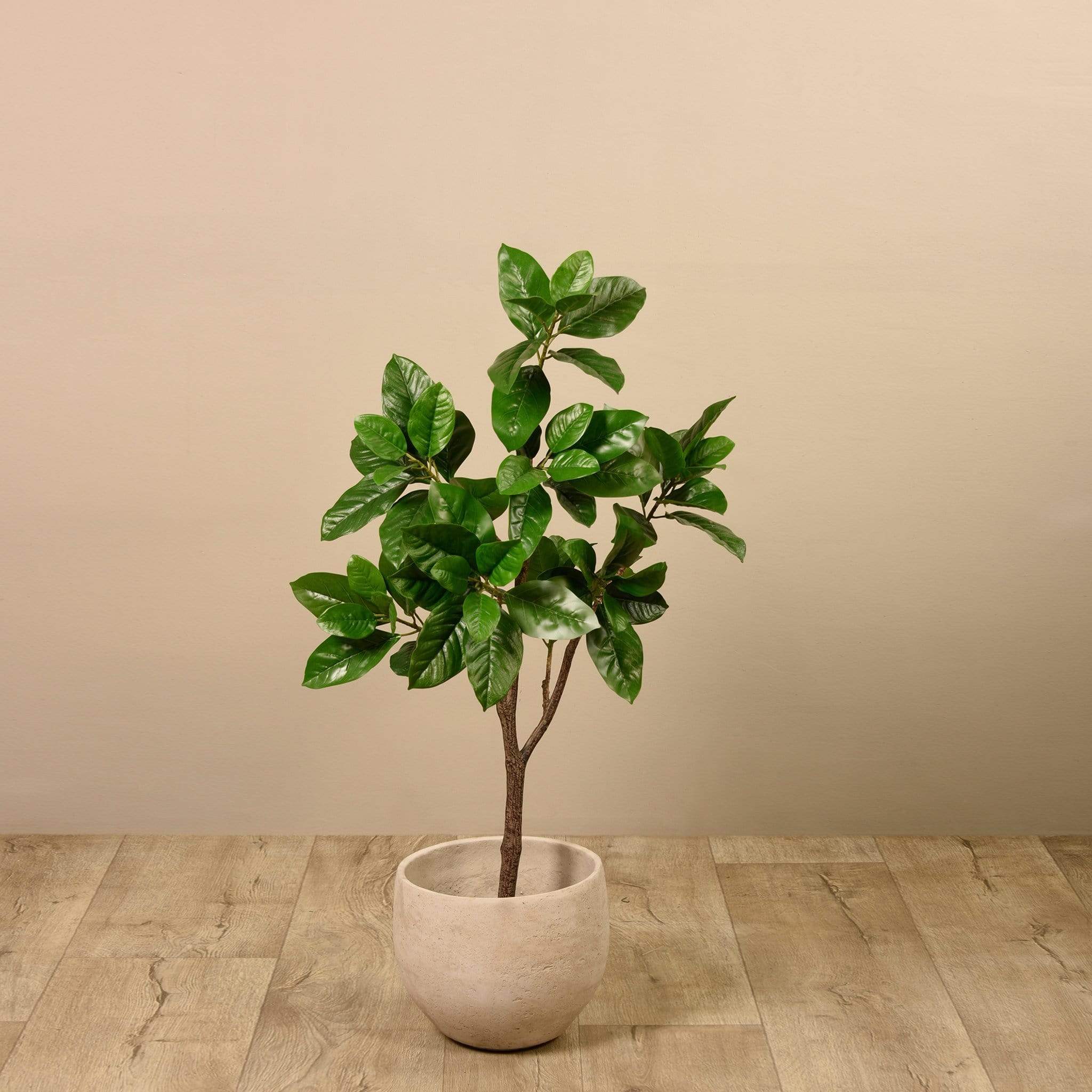 Artificial Rubber Tree 120cm