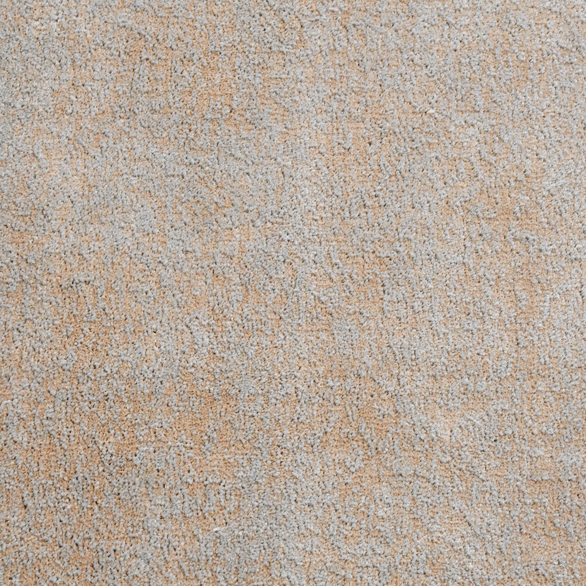 Rug - Image 3