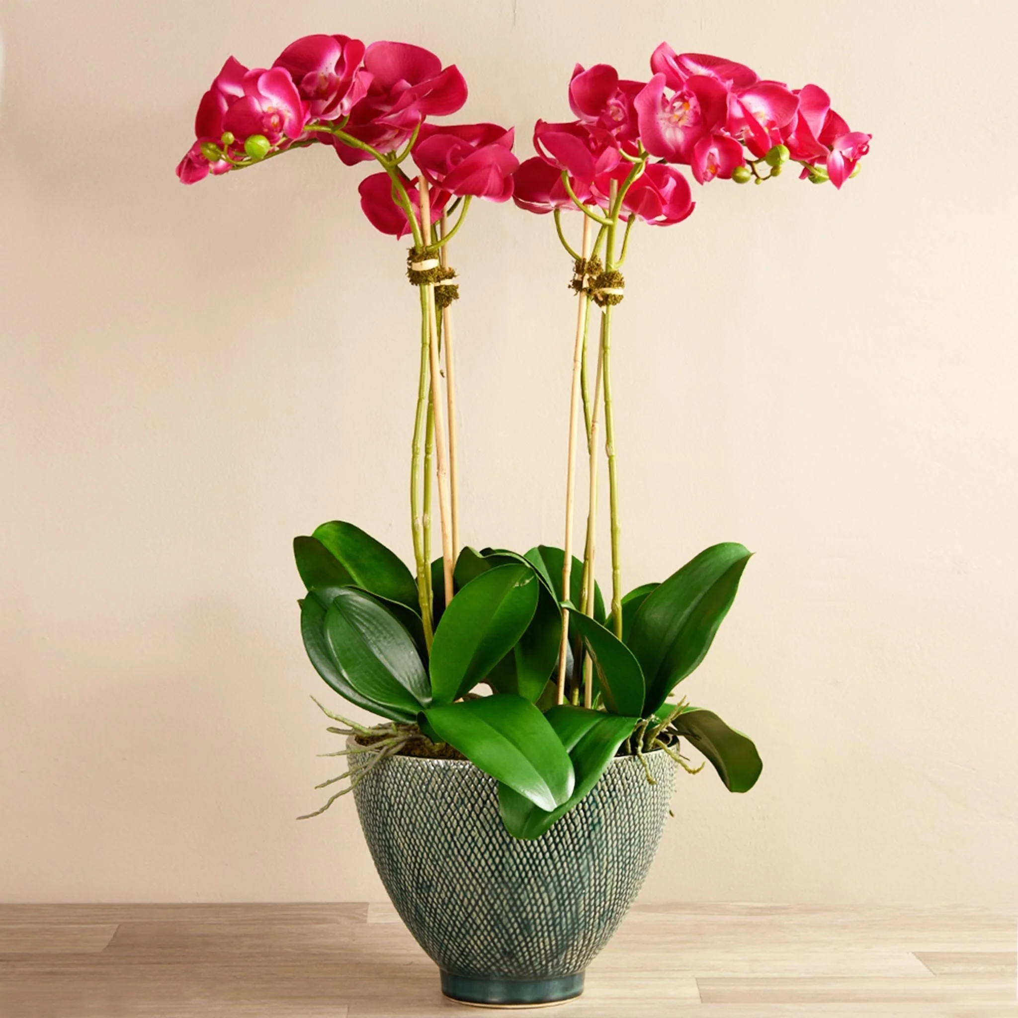 Rustic Orchid Arrangement - Image 8