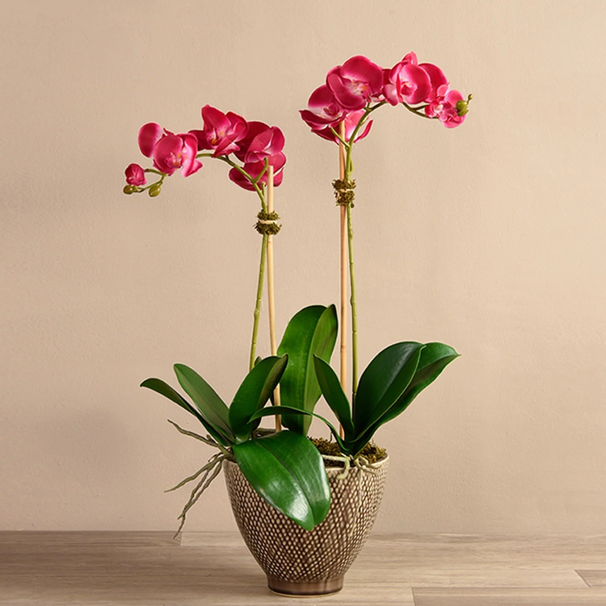 Rustic Orchid Arrangement - Image 6