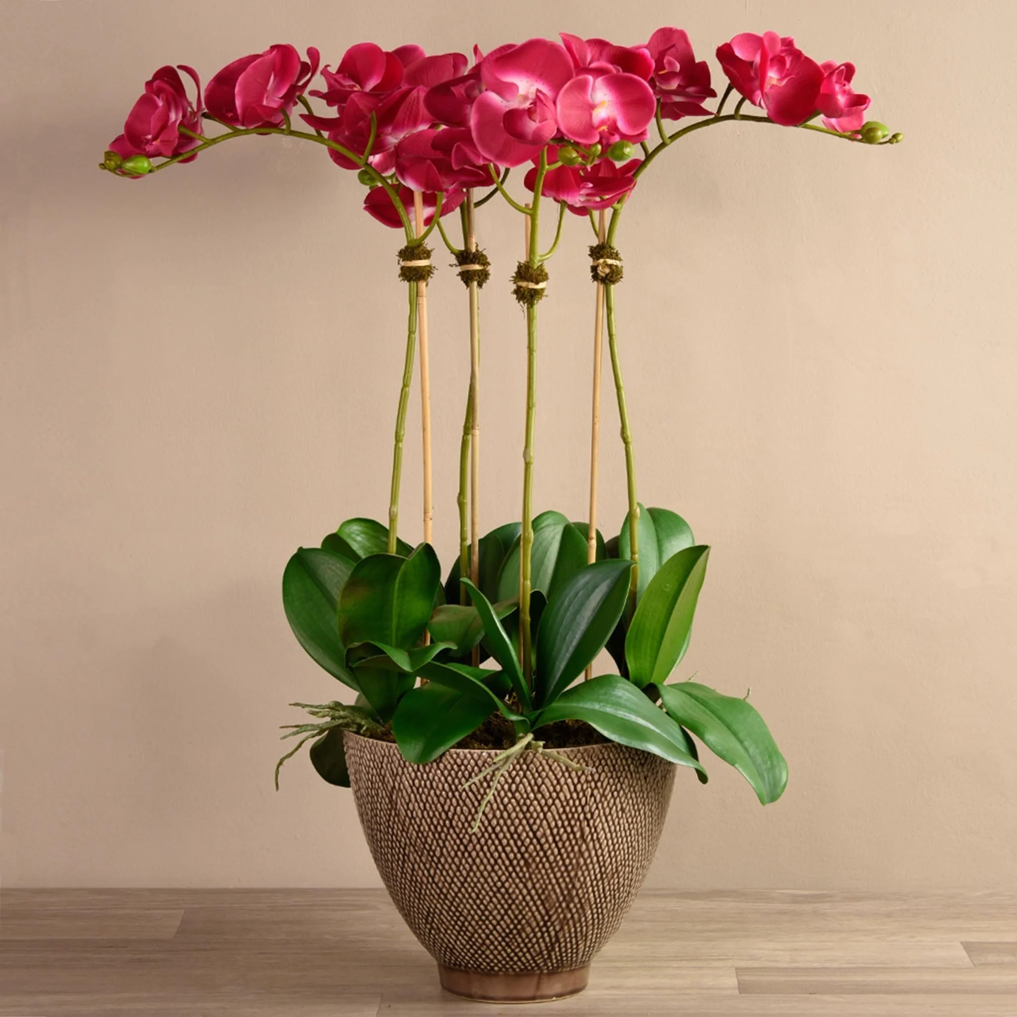 Rustic Orchid Arrangement - Image 8